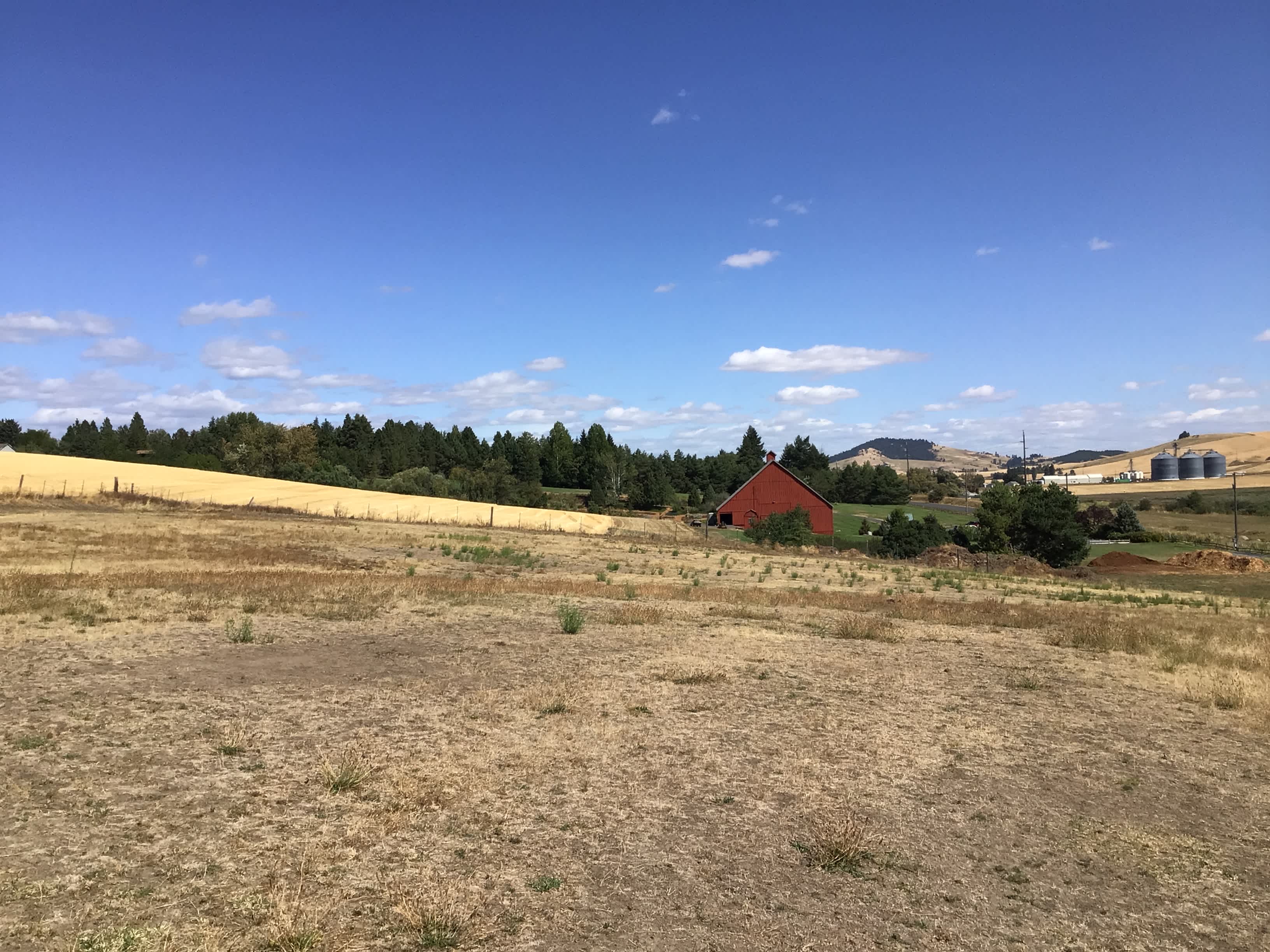 Triple Tree Ranch