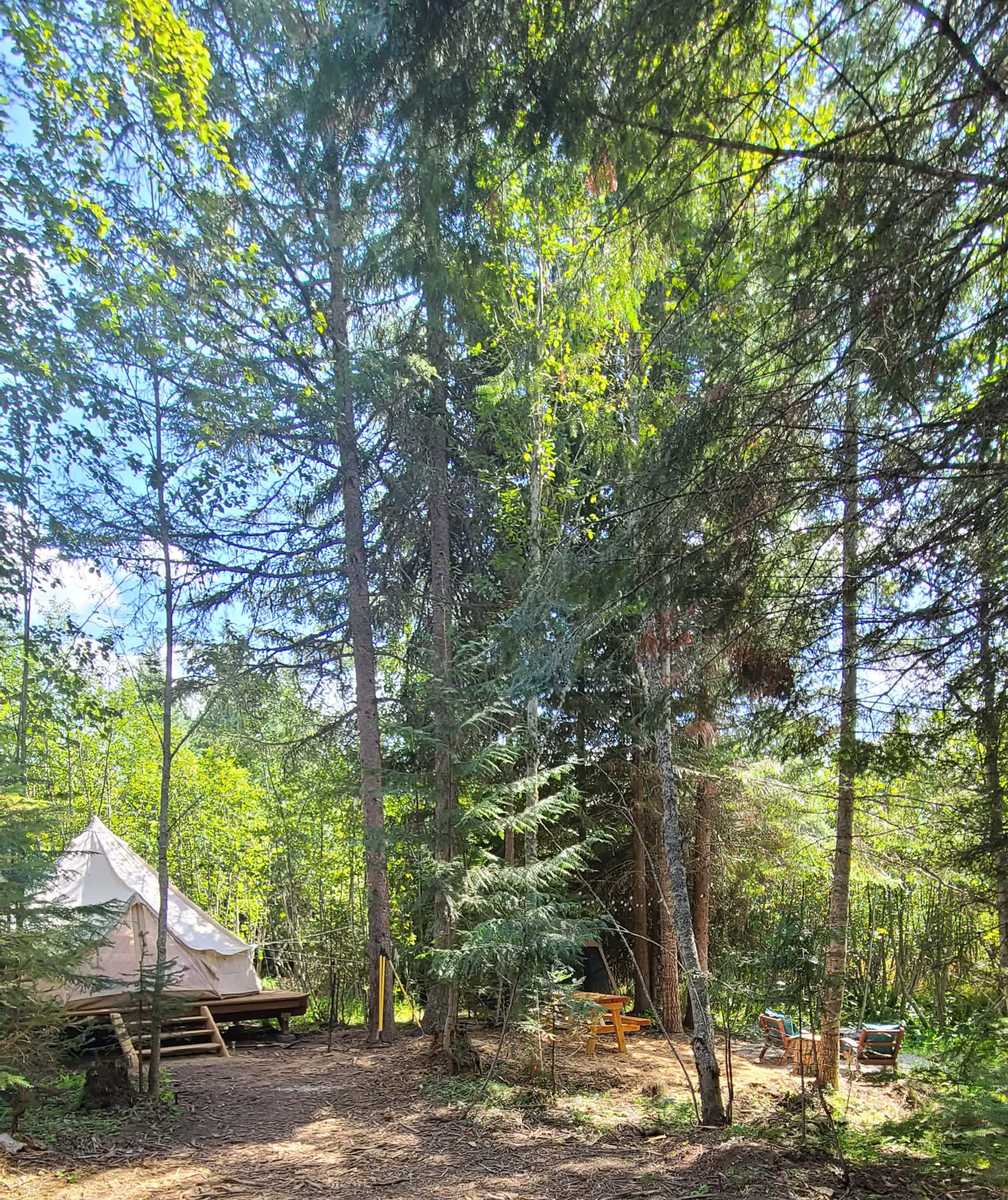 Picture of the site