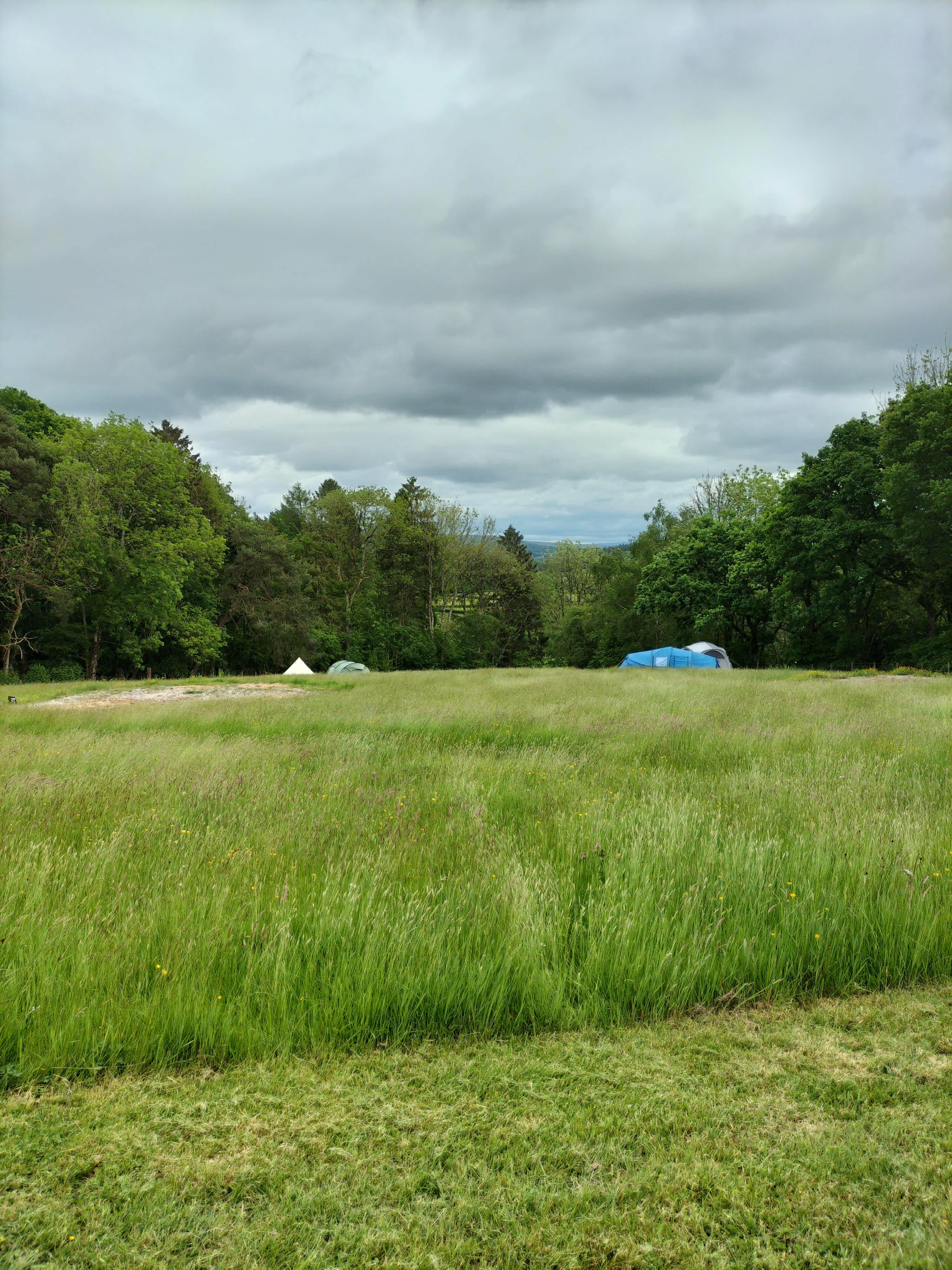 Cwmwye Camping