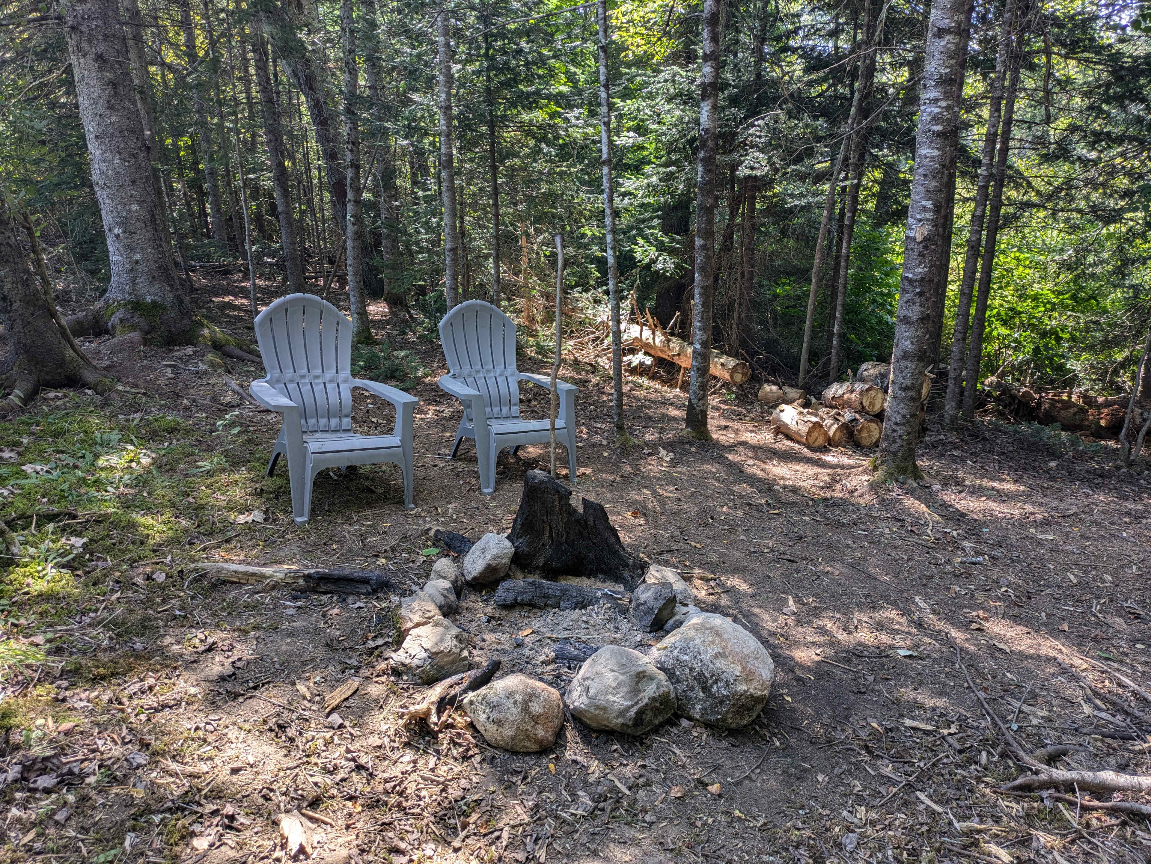 Picture of the site