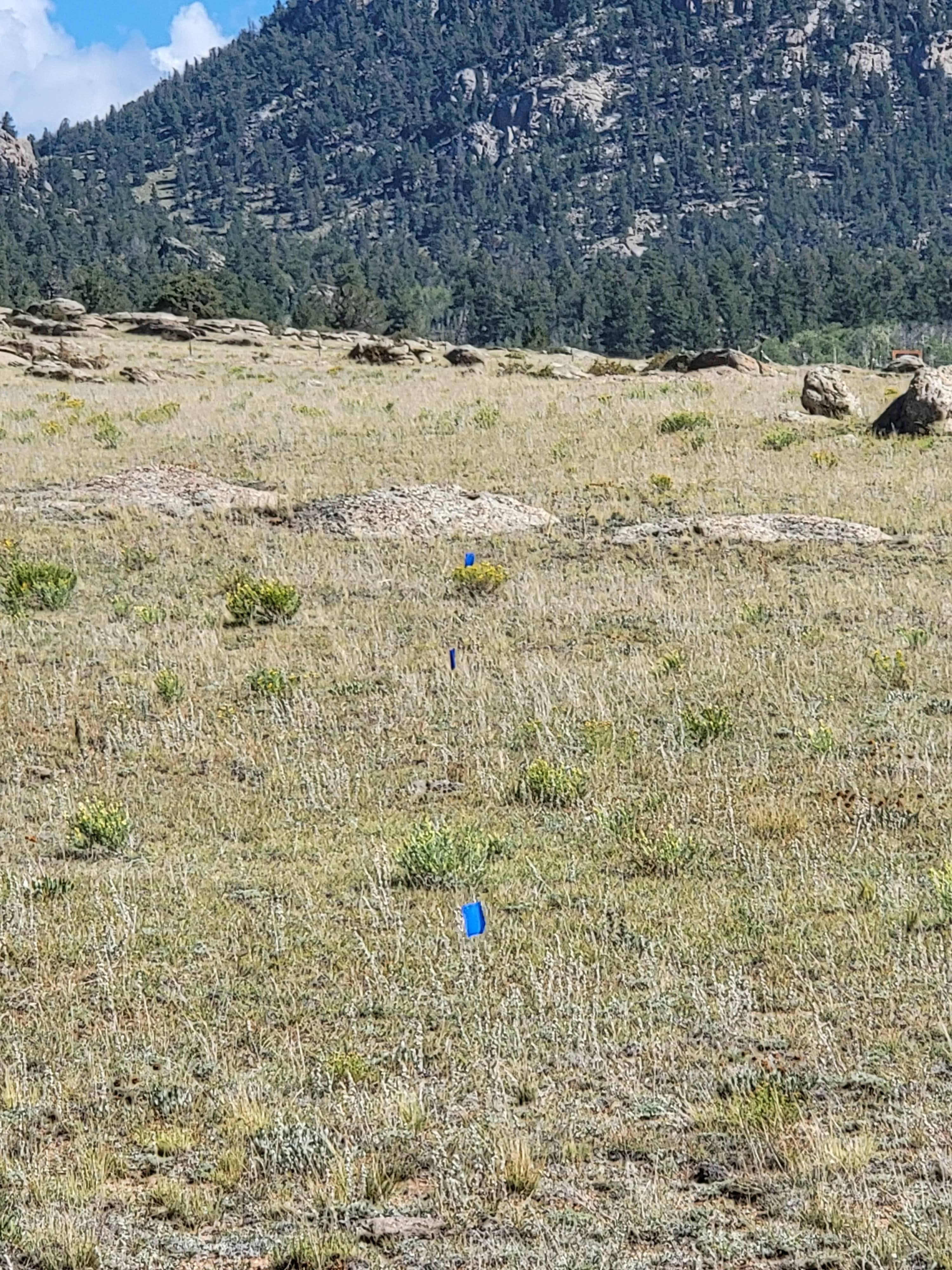 Open 40 Acres Near The Dream Stream
