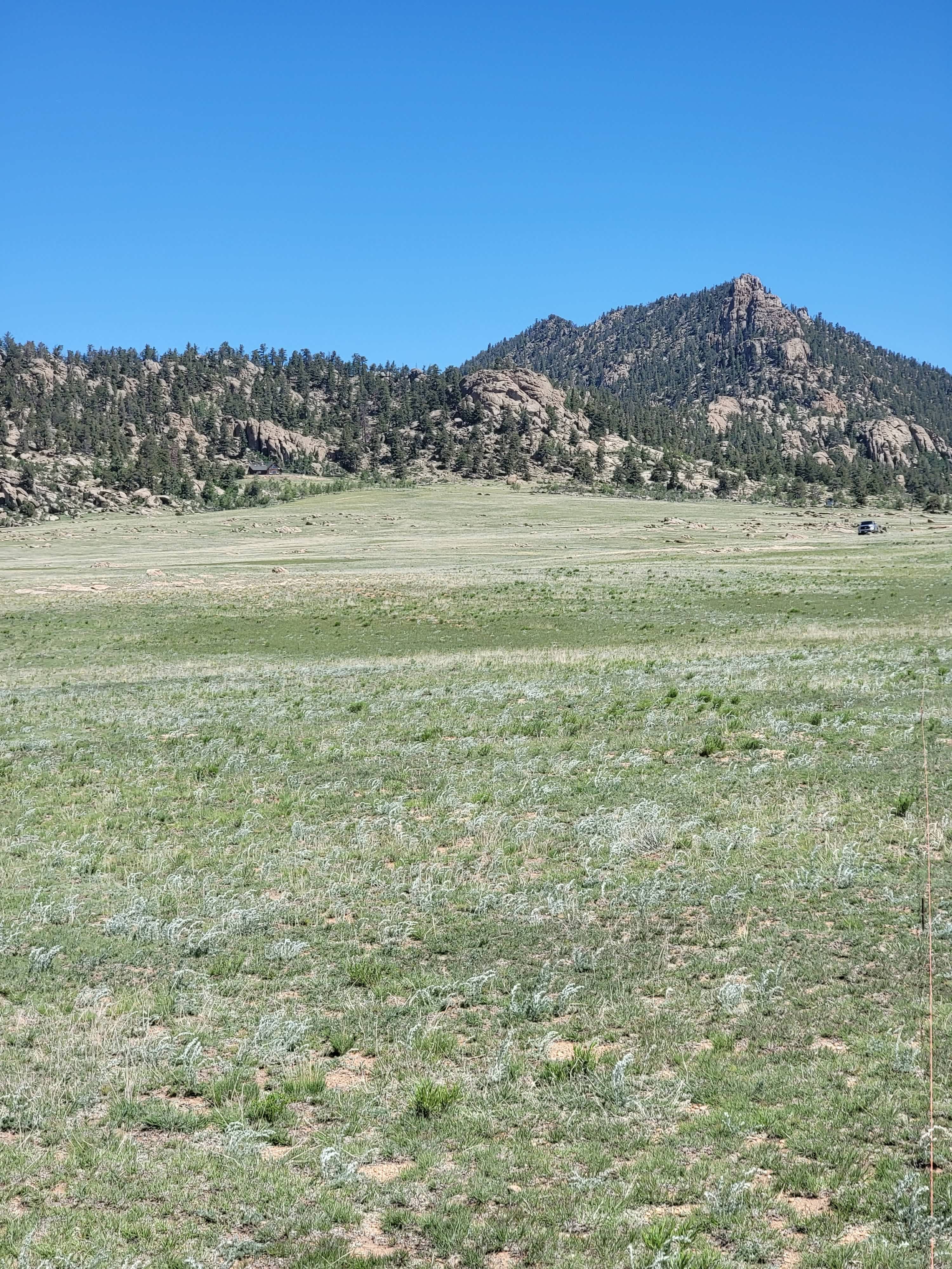 Open 40 Acres Near The Dream Stream