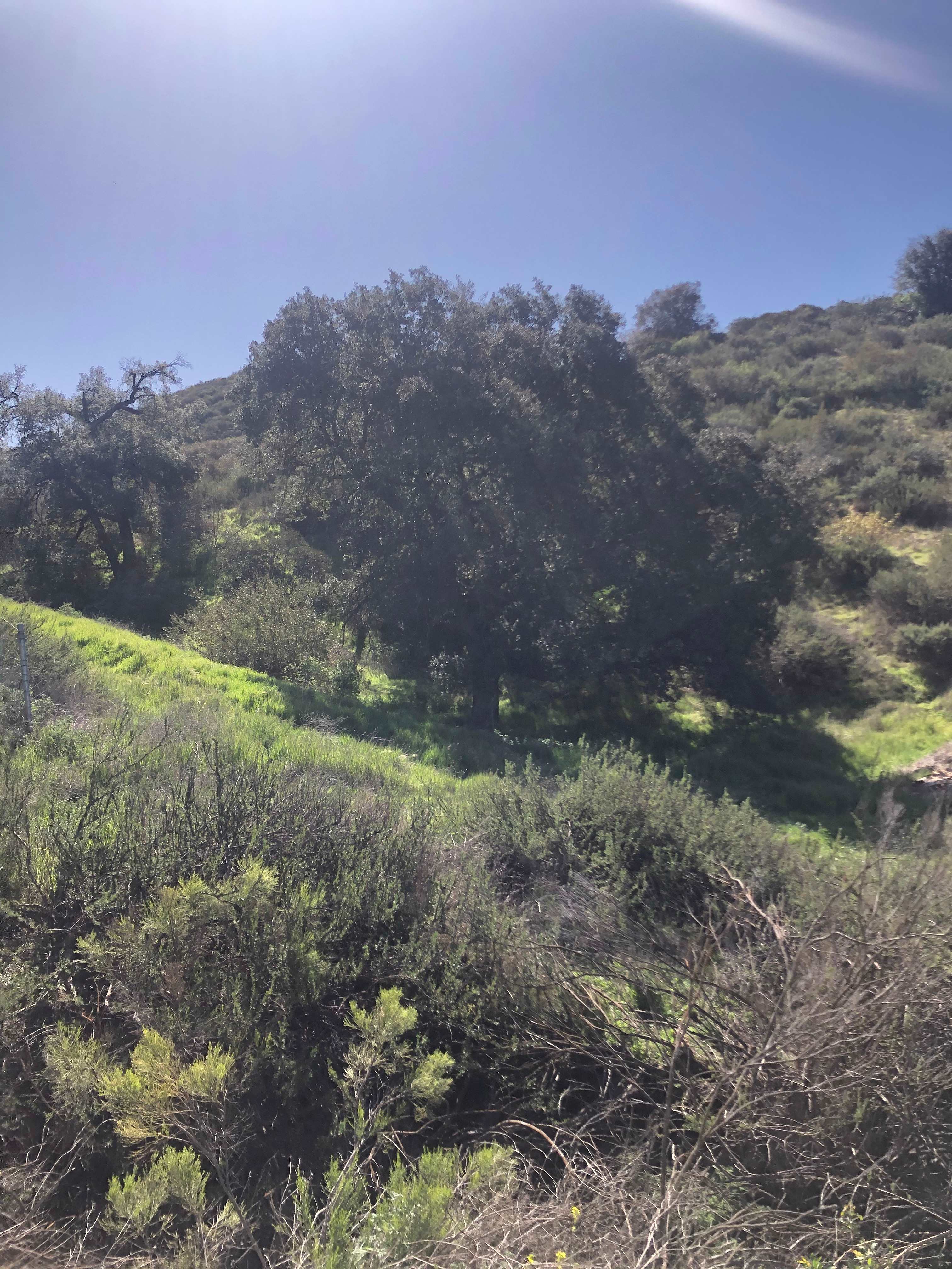 Rancho Hermes