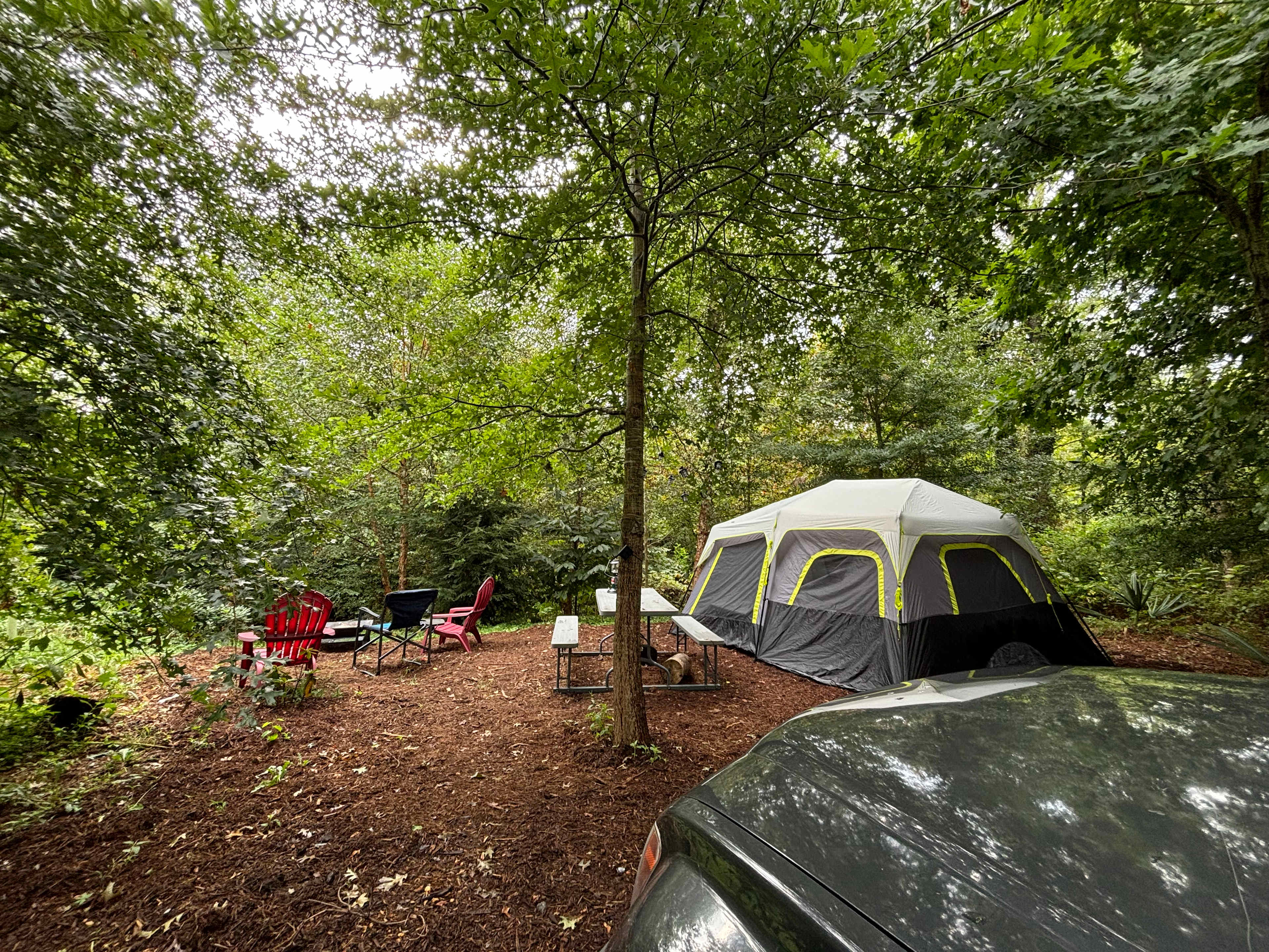 Picture of the site