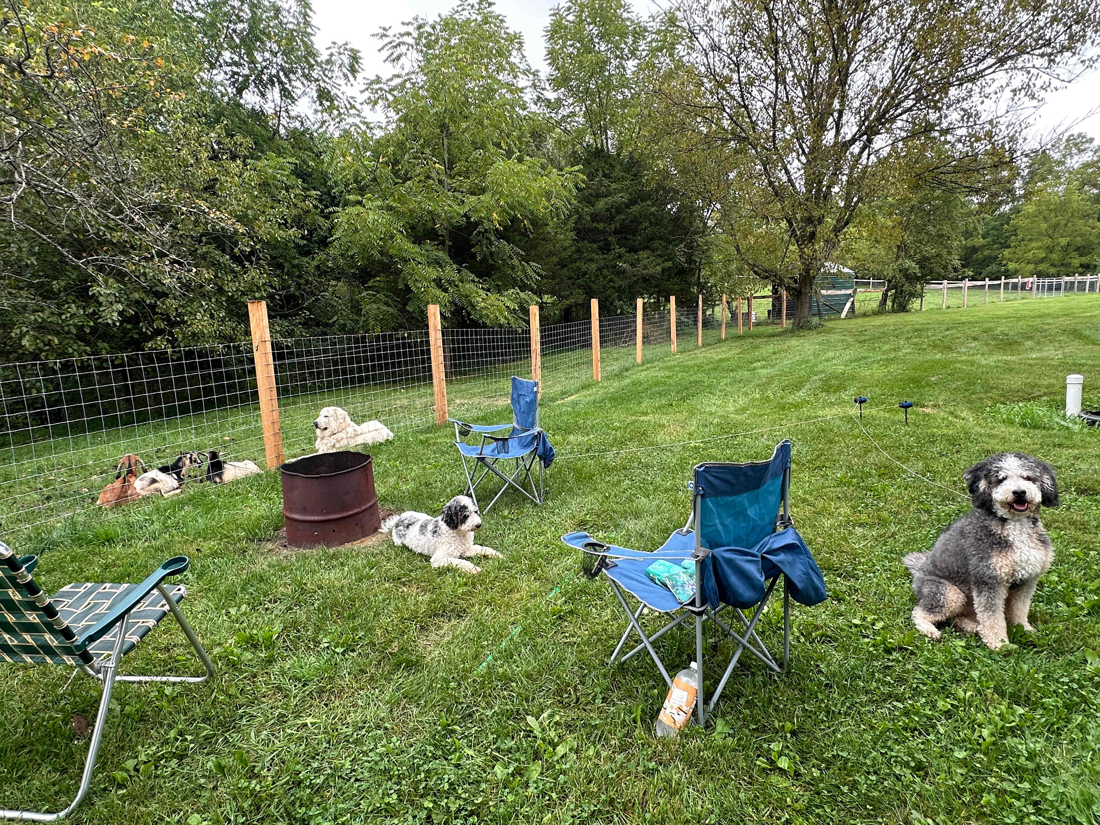 Picture of the site