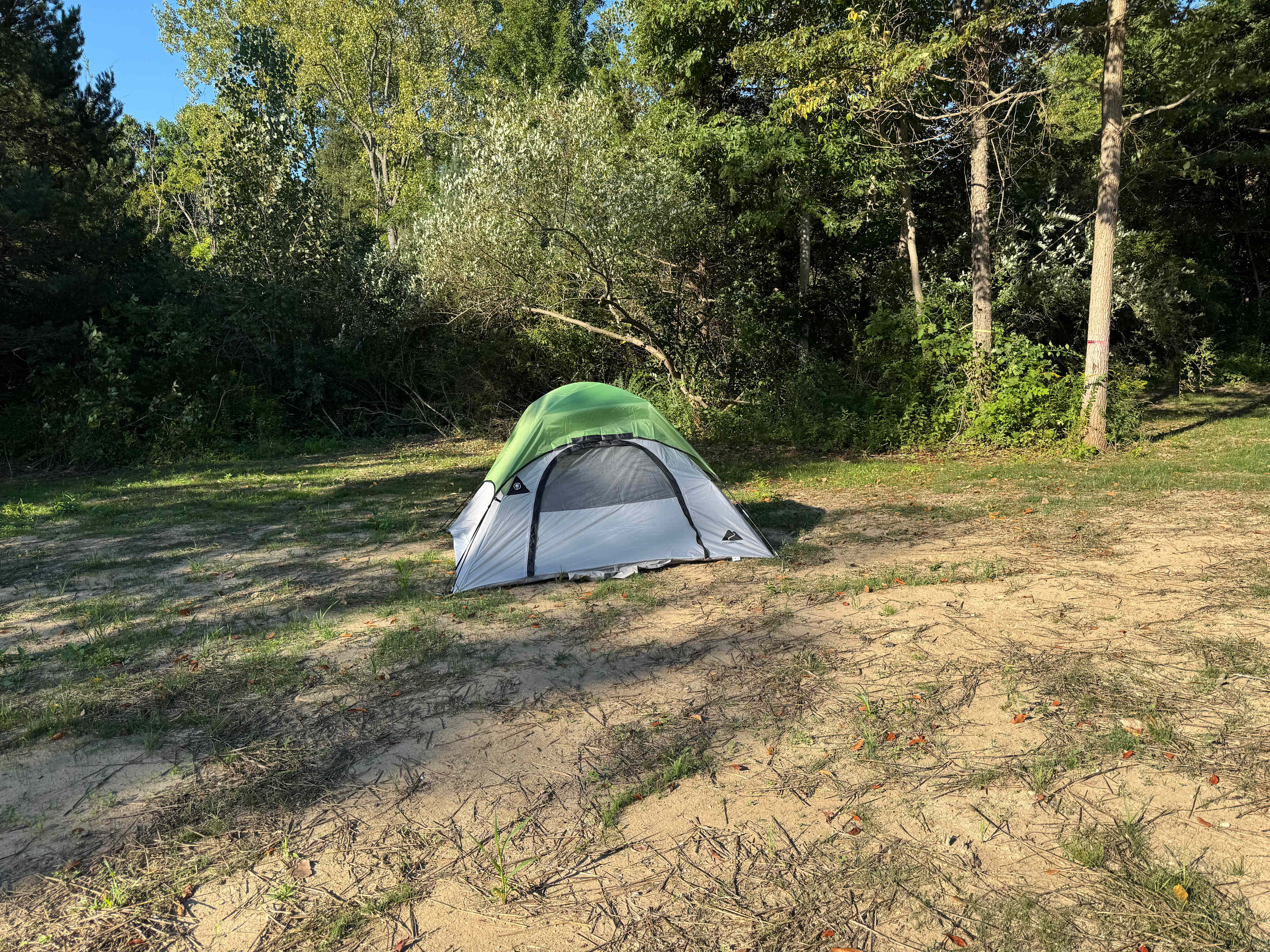 Picture of the site
