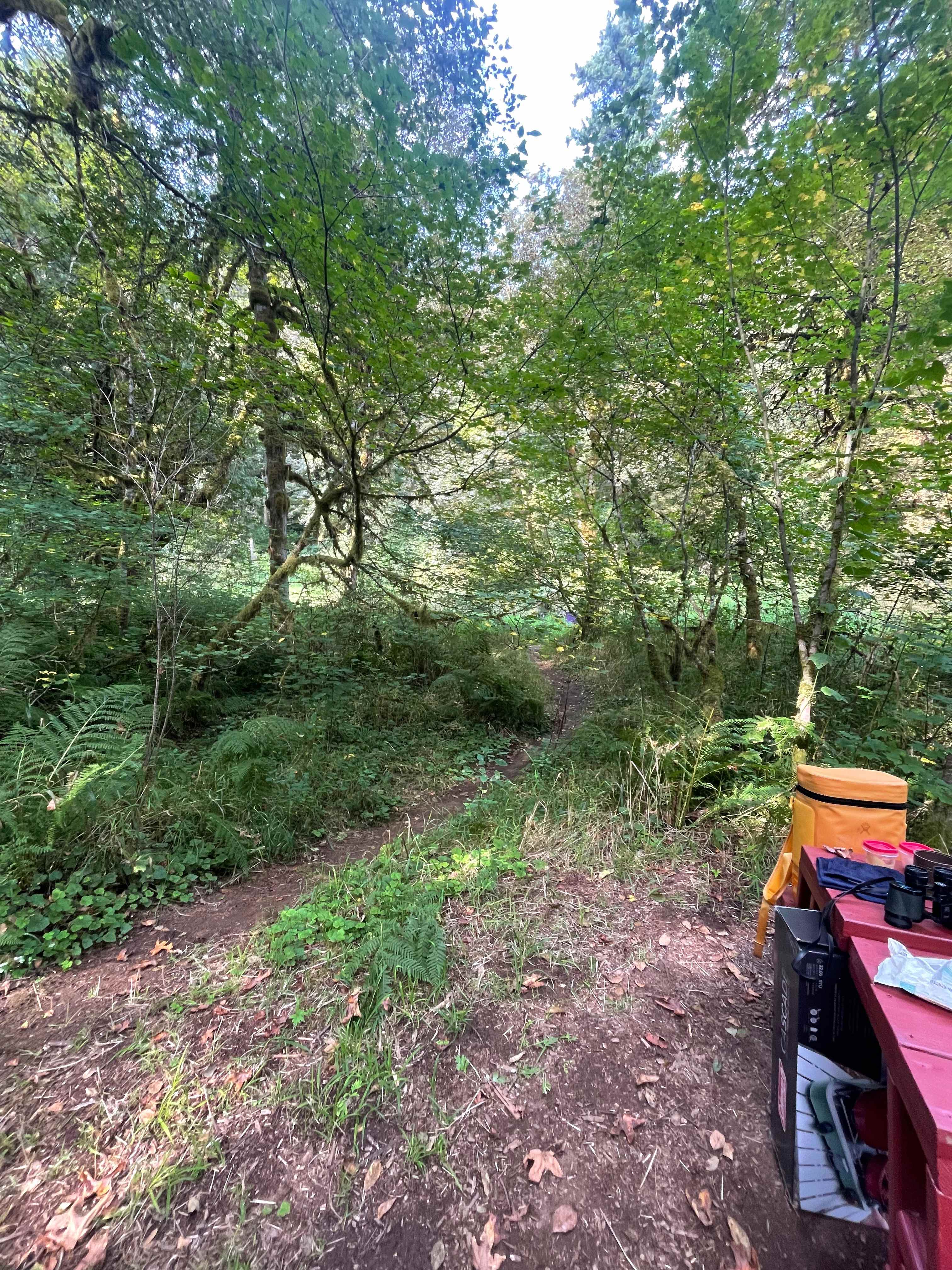 Picture of the site