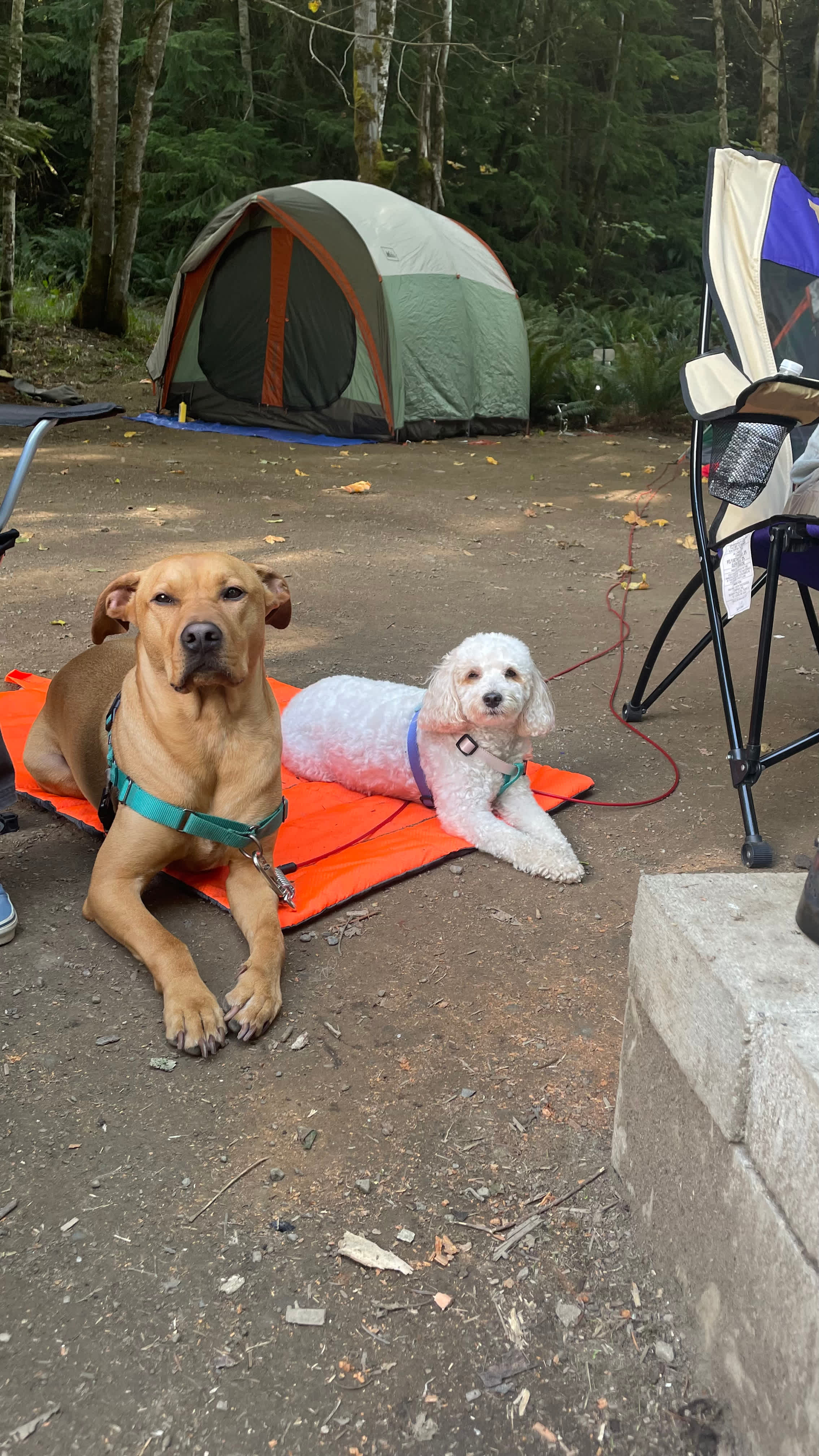 Shadow Mountain Campground