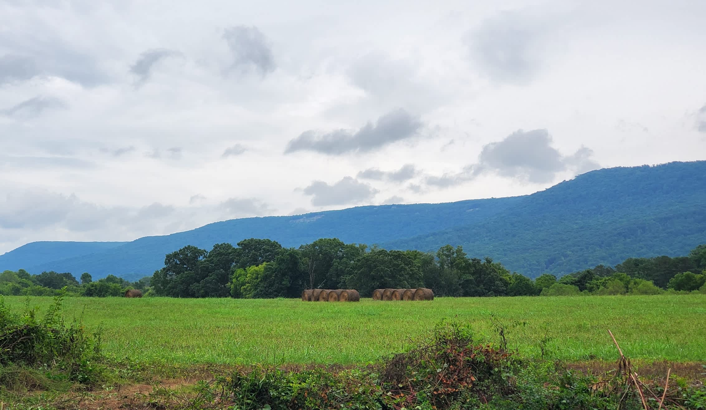 Farmland RV Pad Mountain View