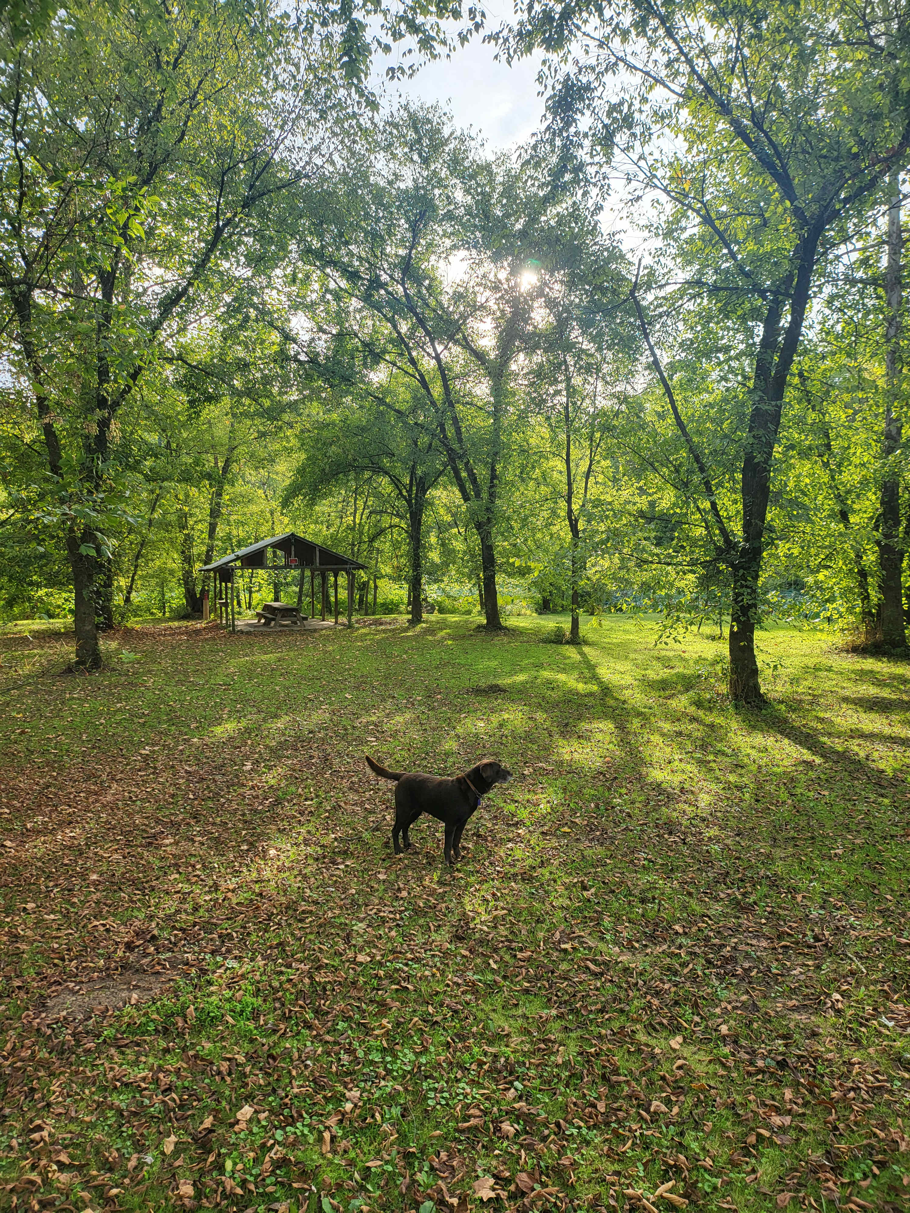 Werry's Secret Resort on the River