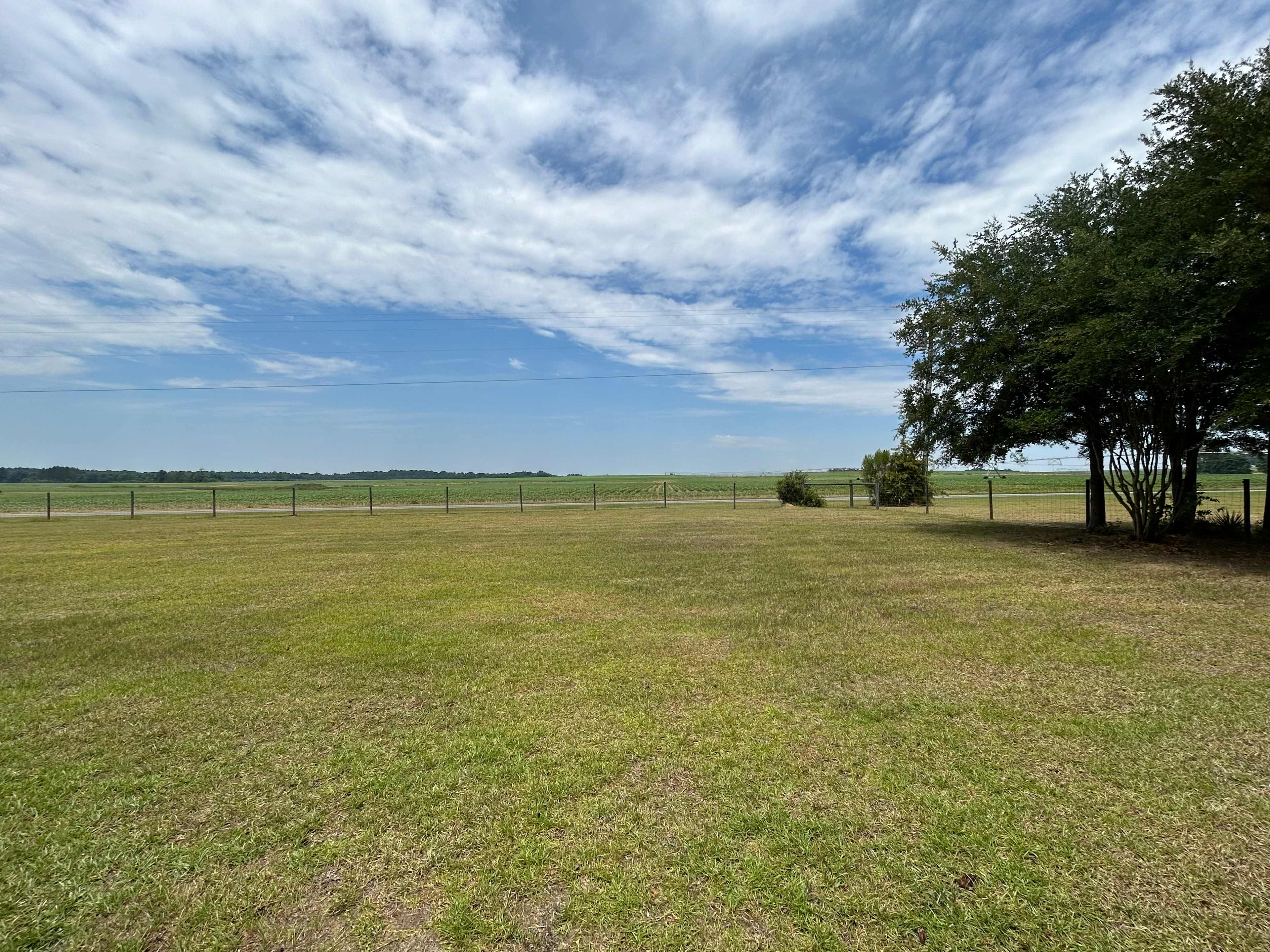 The Farm