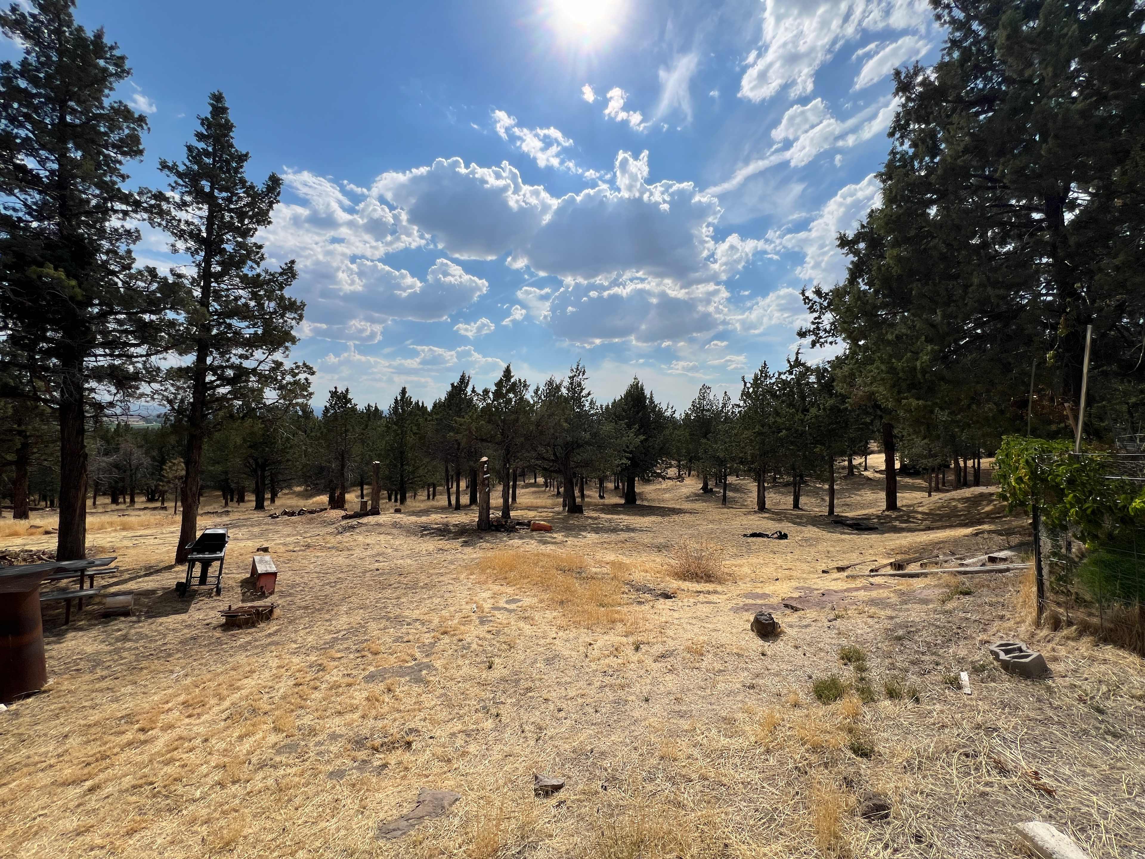Camp Calamity