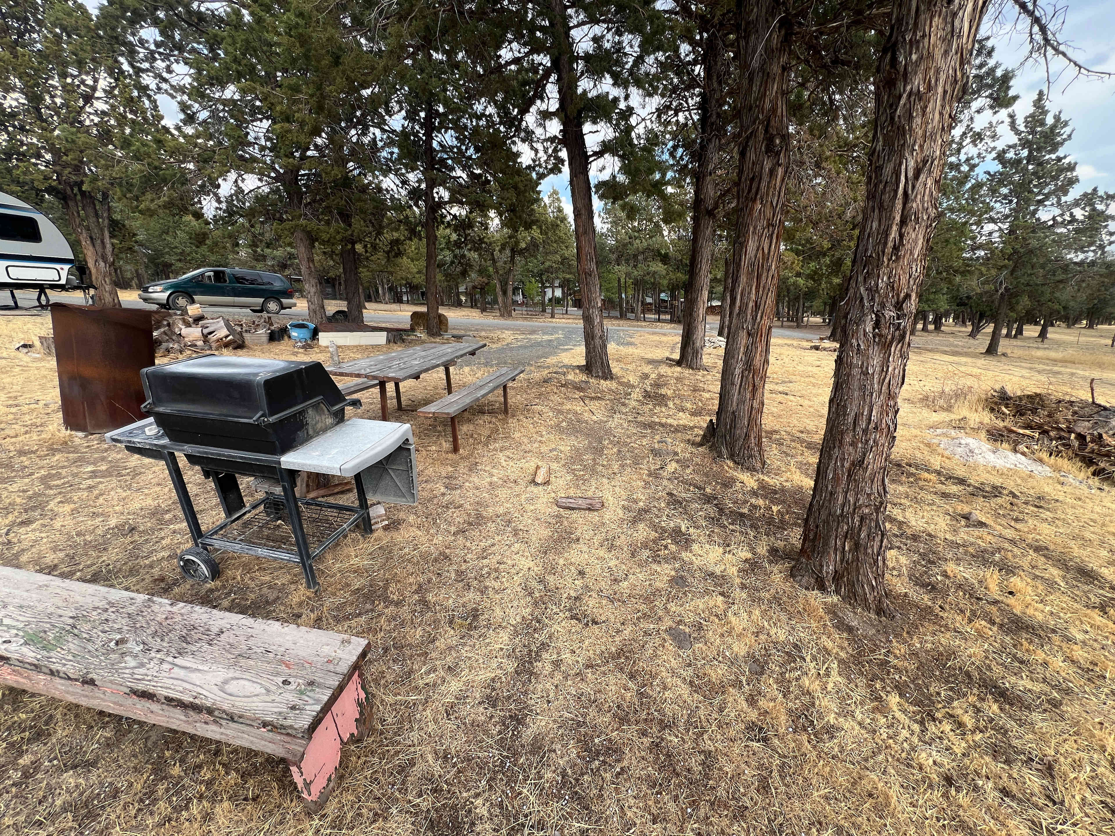 Camp Calamity