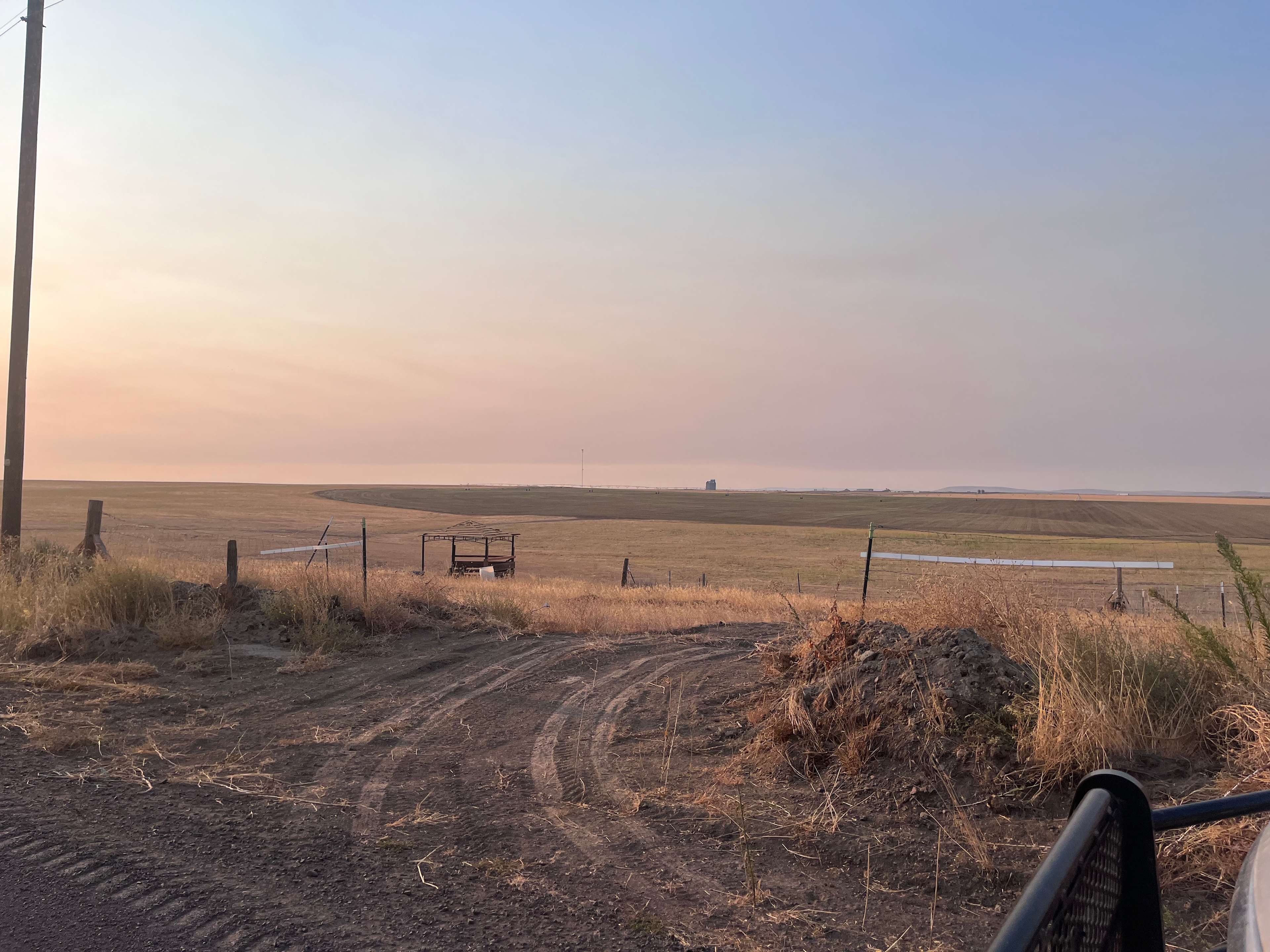Picture of the site