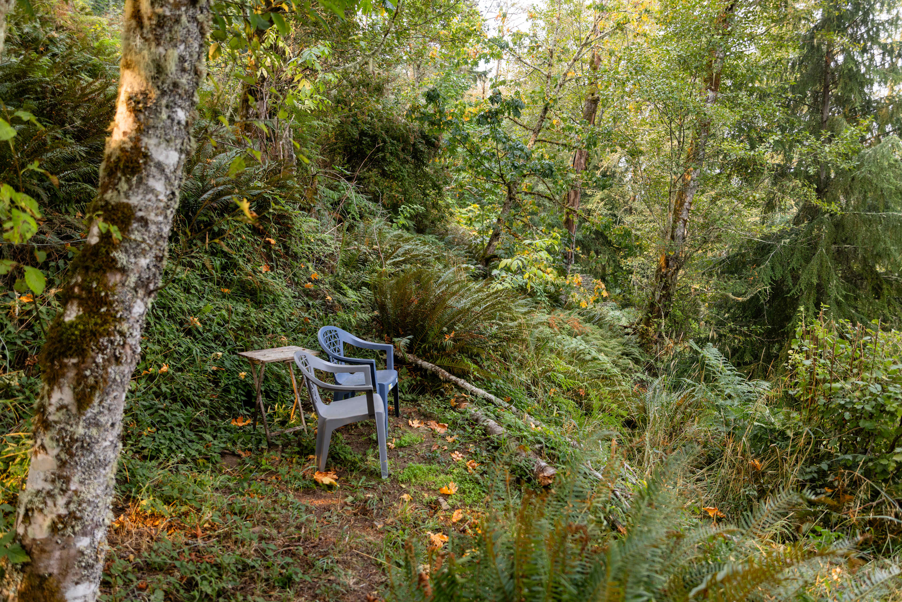 The scenic vista above the property 