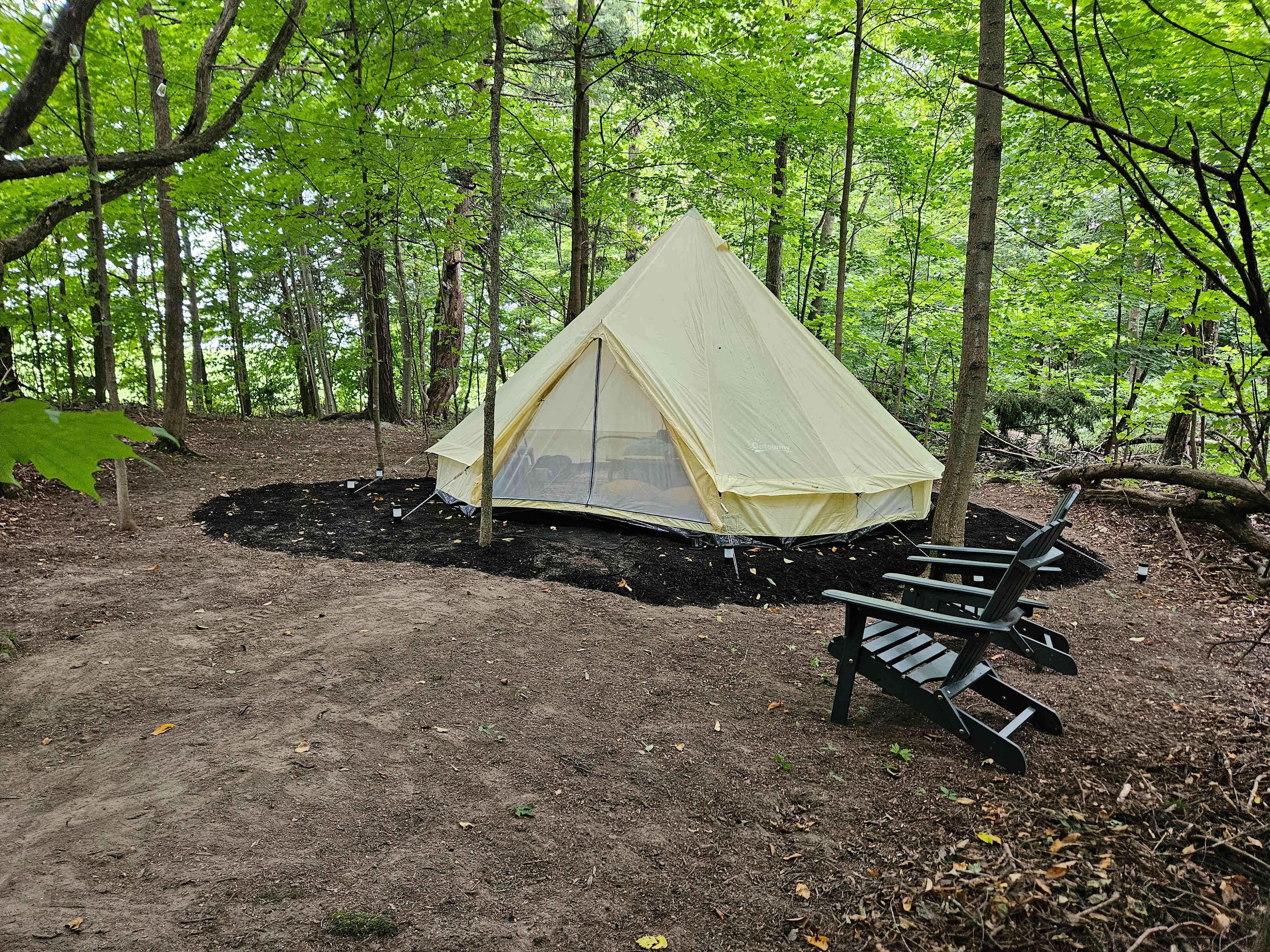 Picture of the site