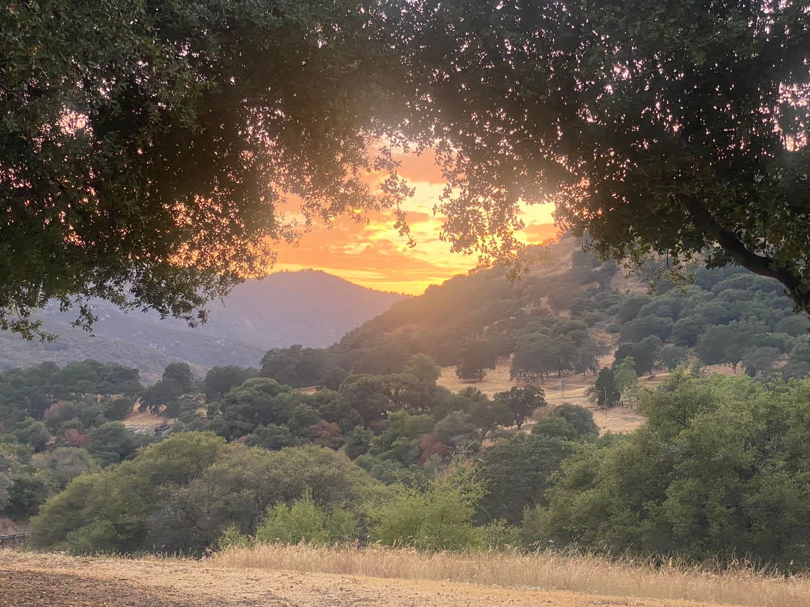 Sequoia Secluded Escape