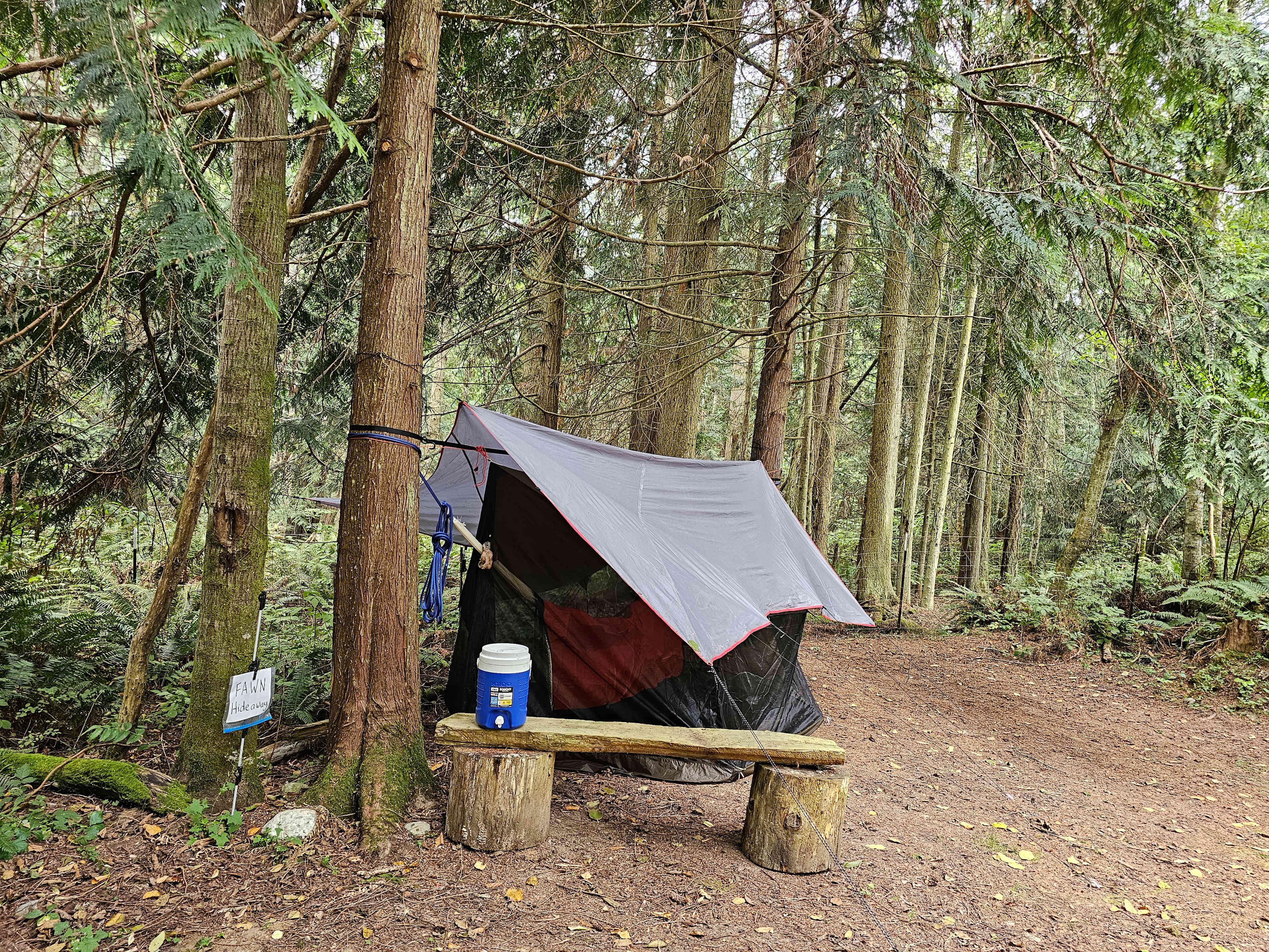 Picture of the site