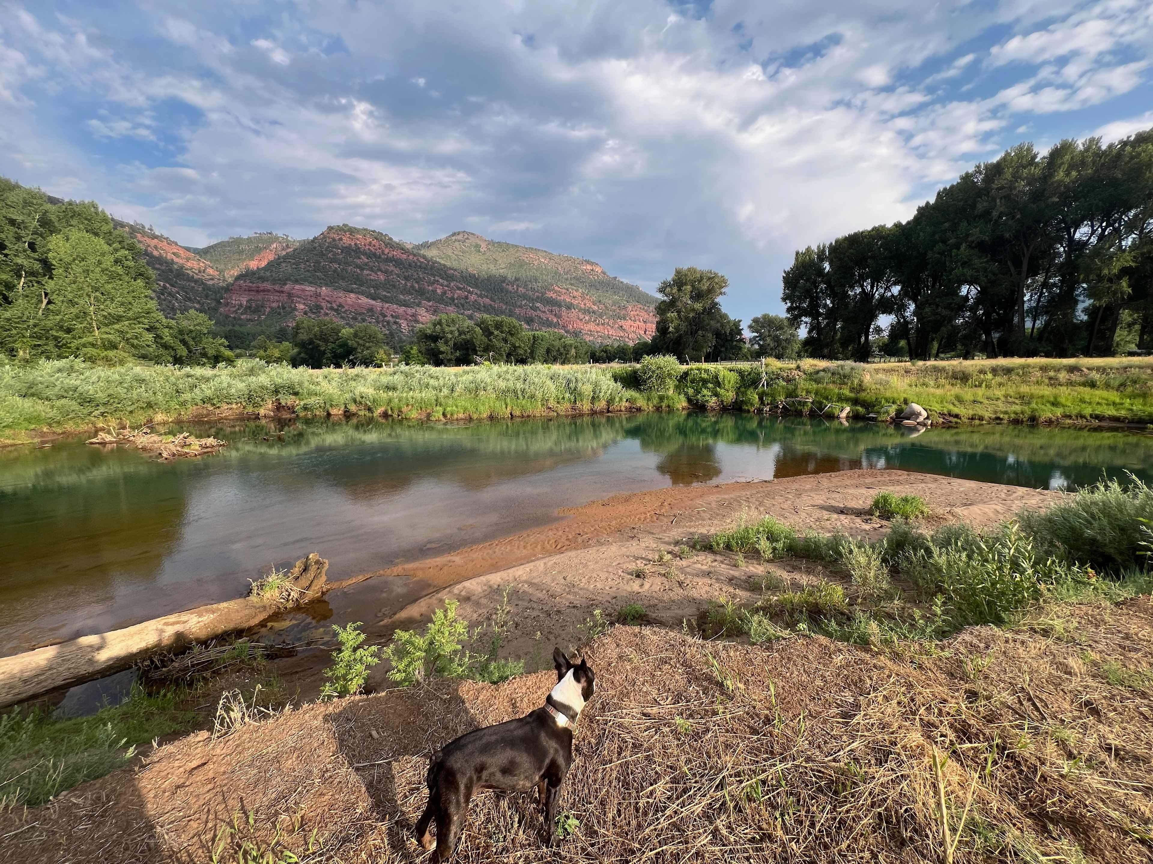 Riverside Meadows Camping