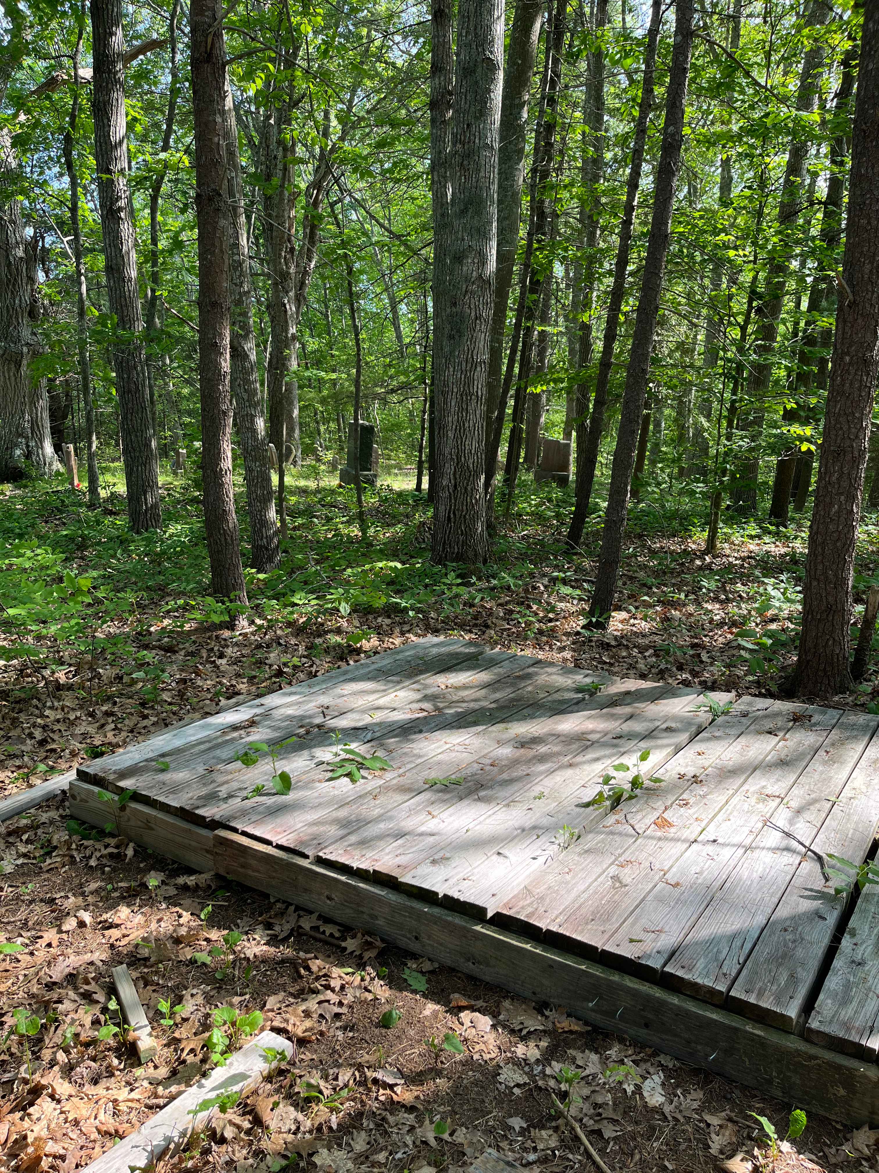 Picture of the site