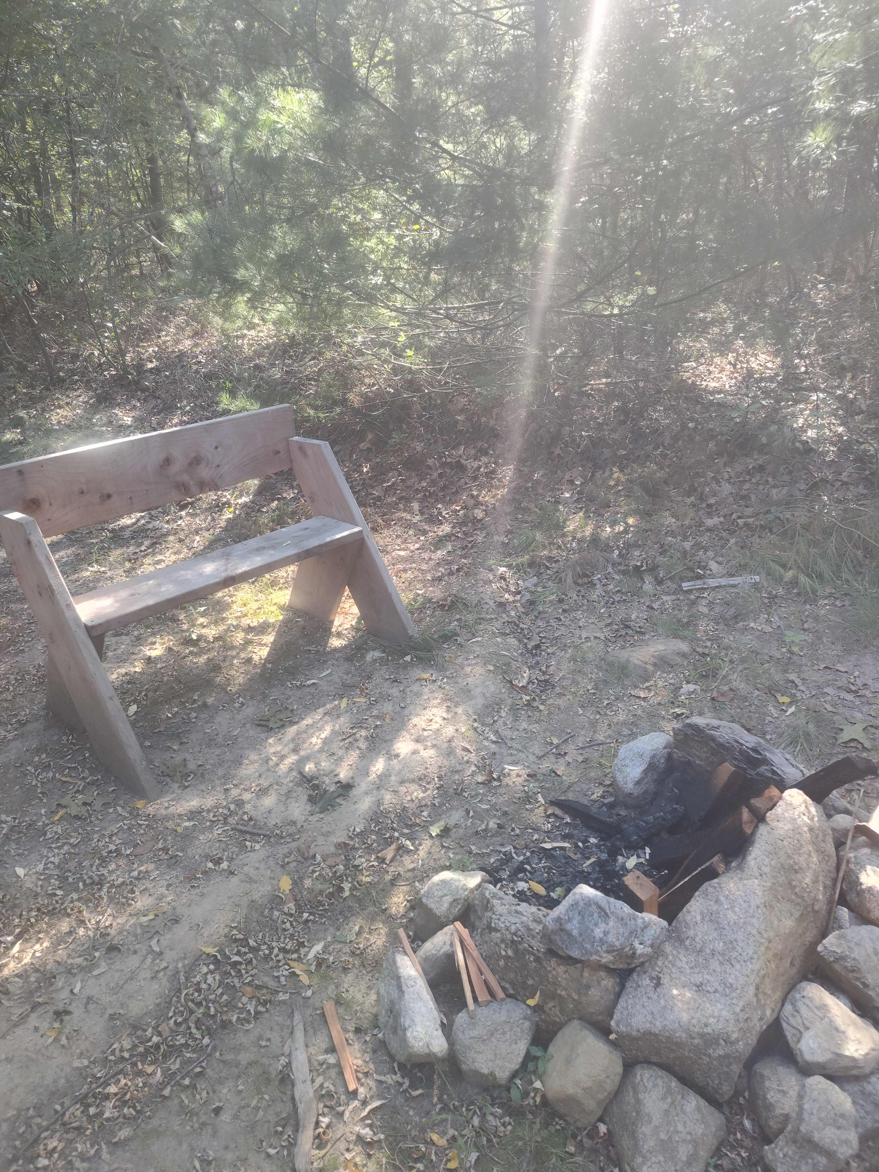 Picture of the site