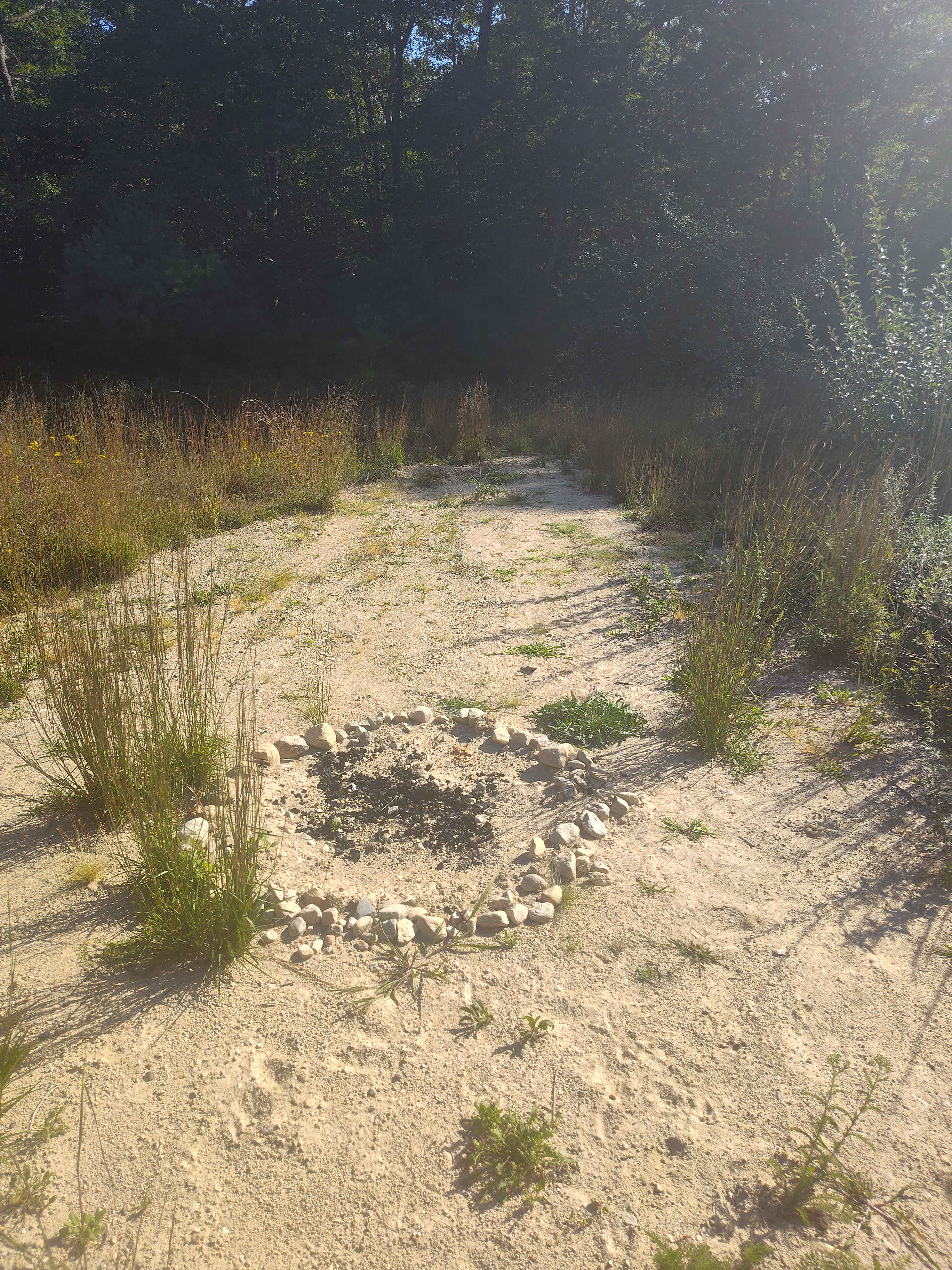 Picture of the site