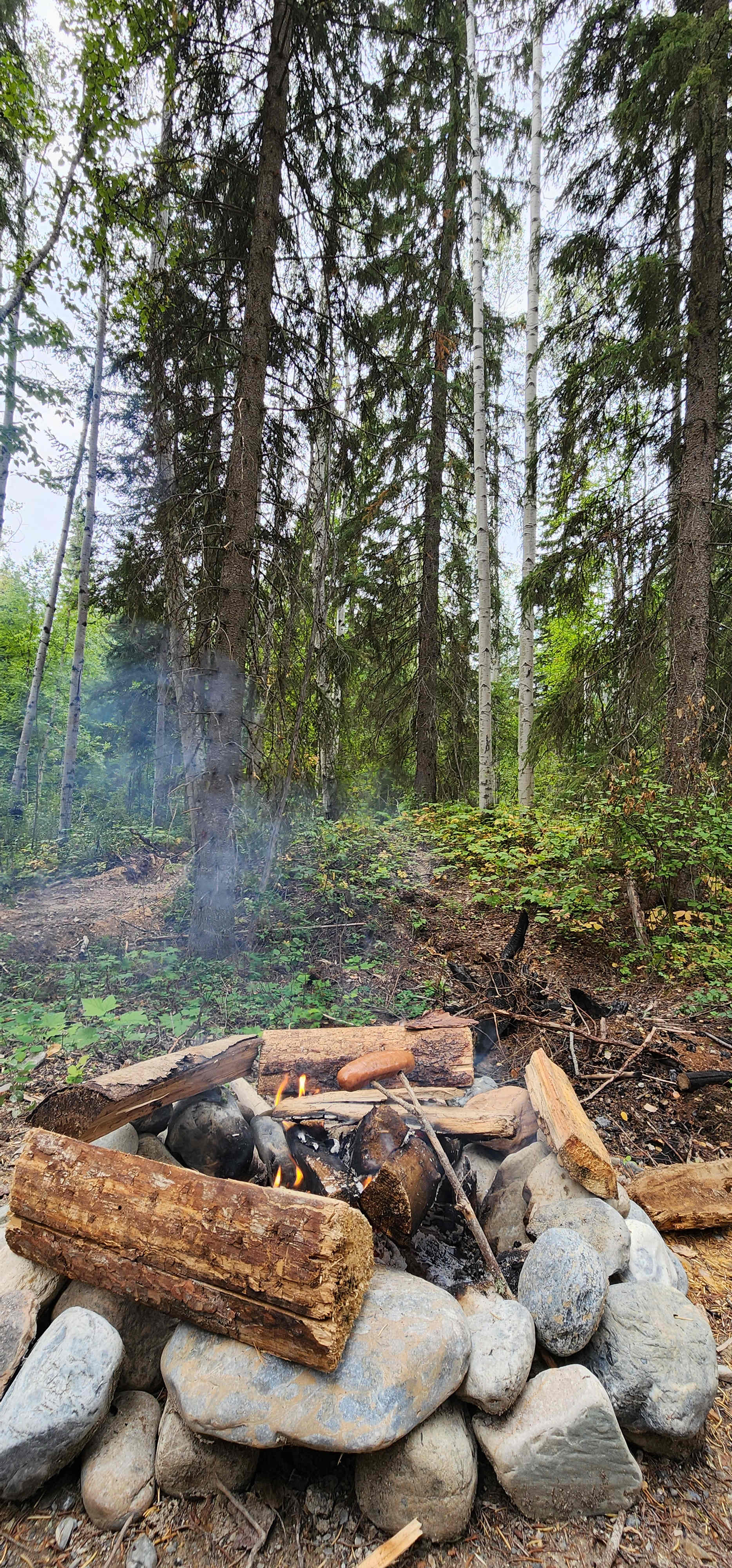 Picture of the site