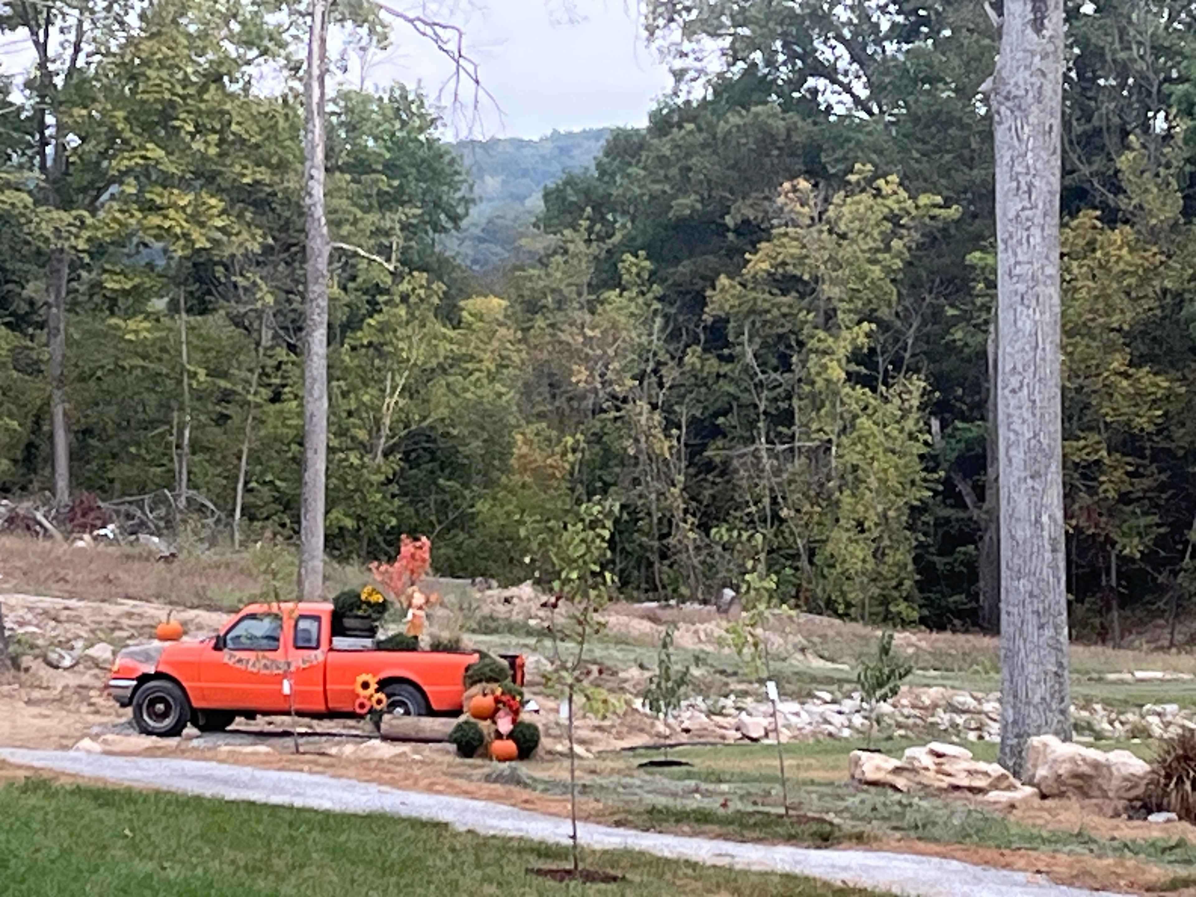 Picture of the site