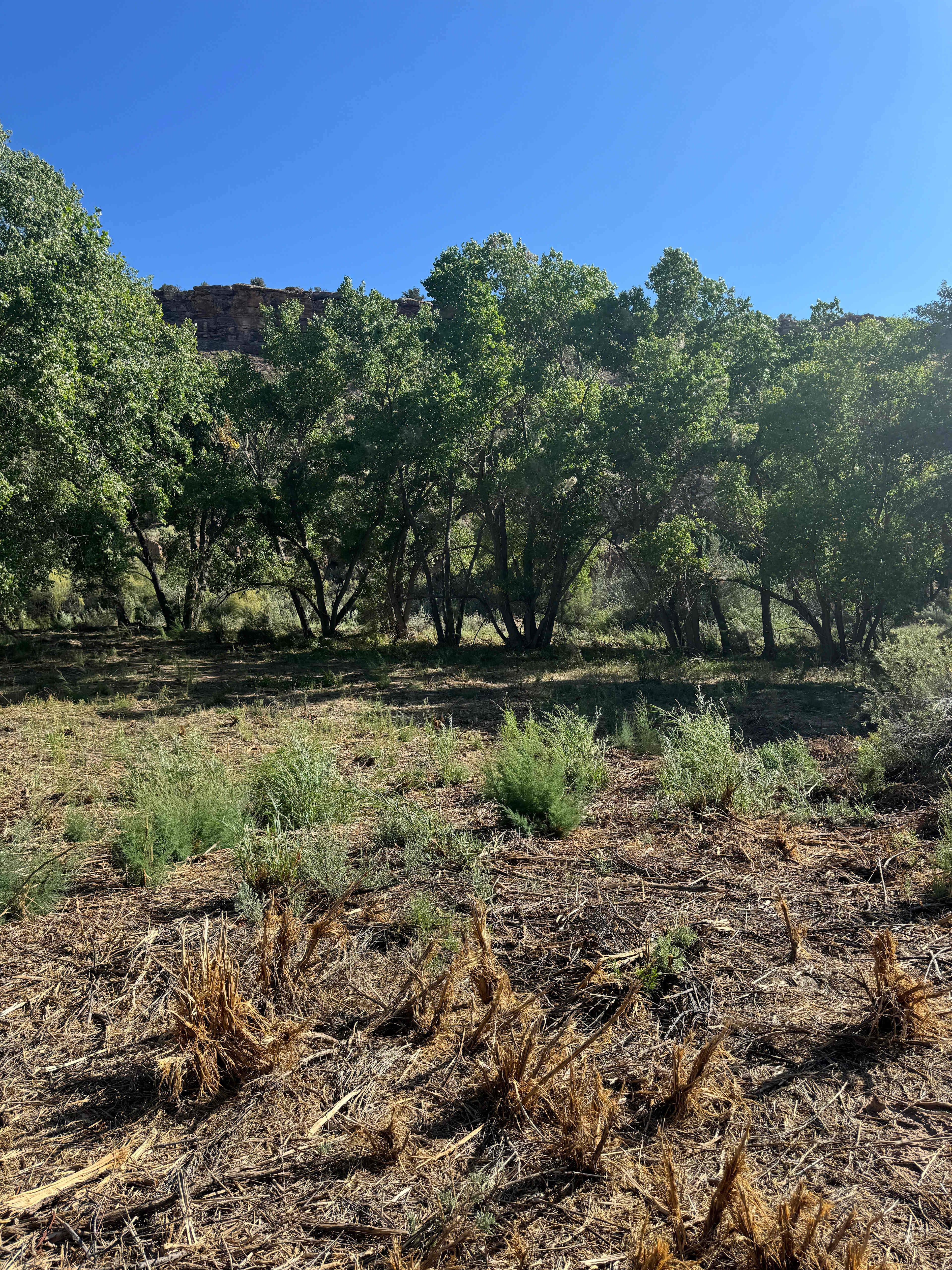 Saddlehorn Ranch