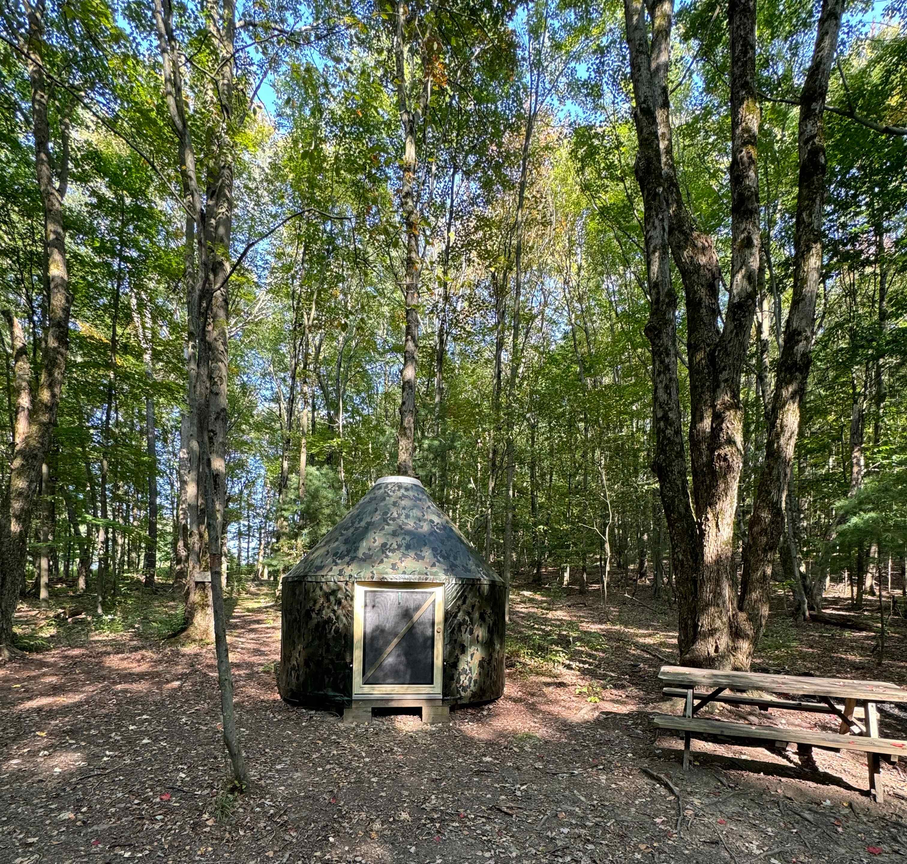 Picture of the site