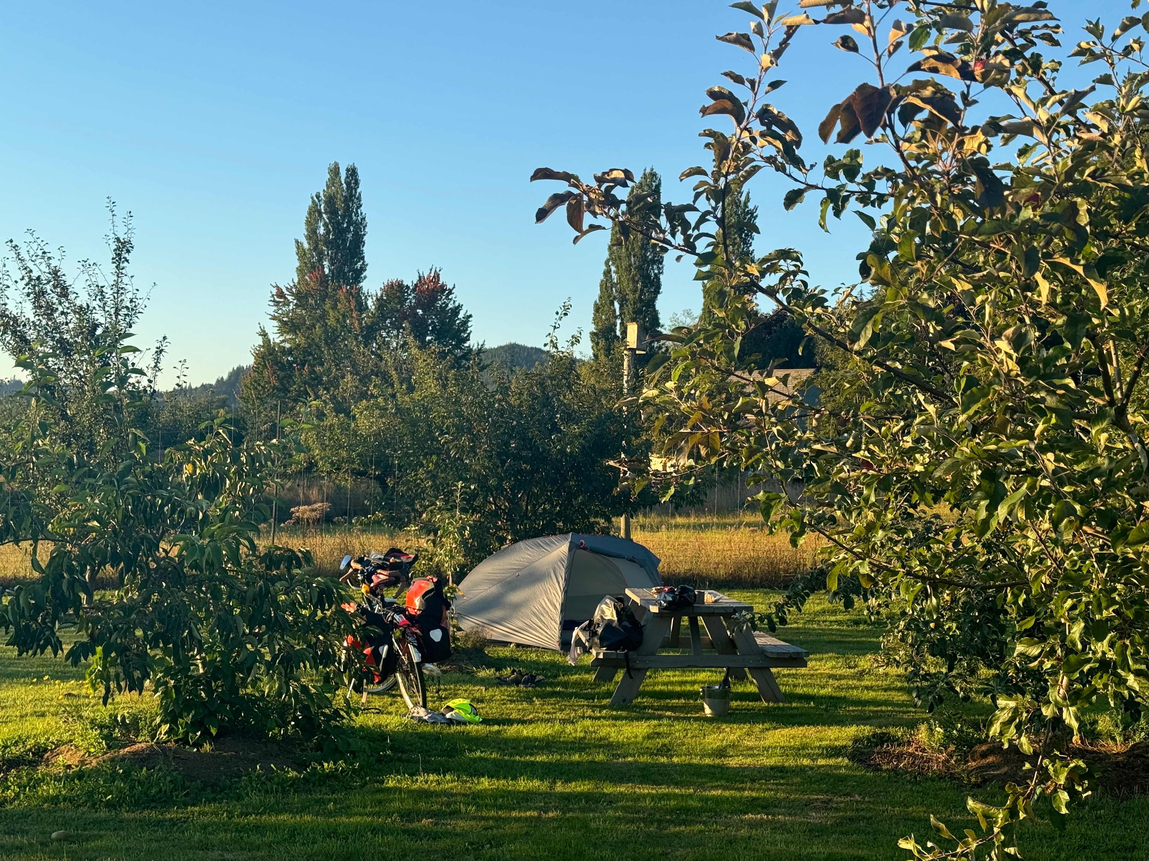 Picture of the site