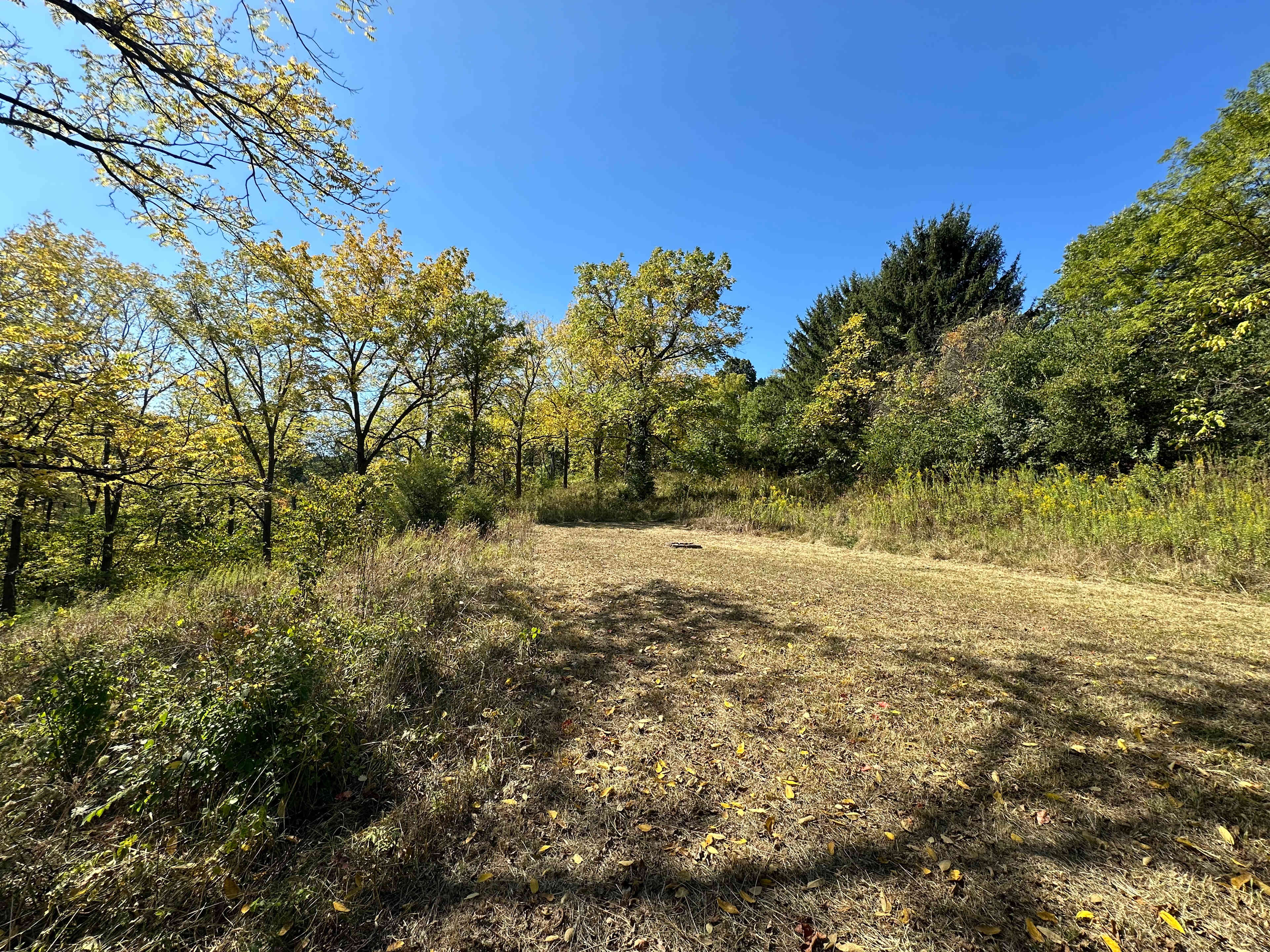 Secluded Mt. Airy Camp