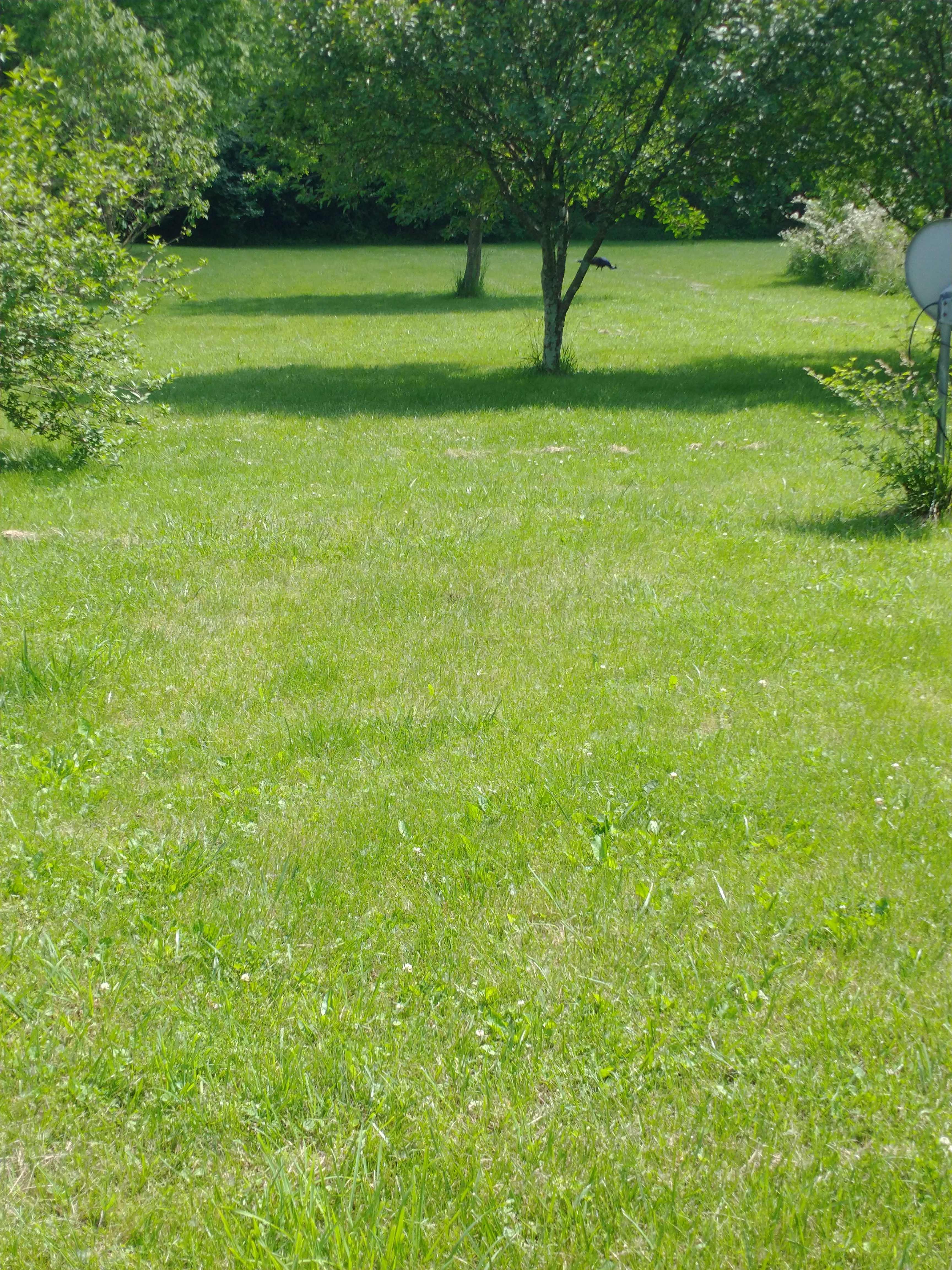 Arnold Acres