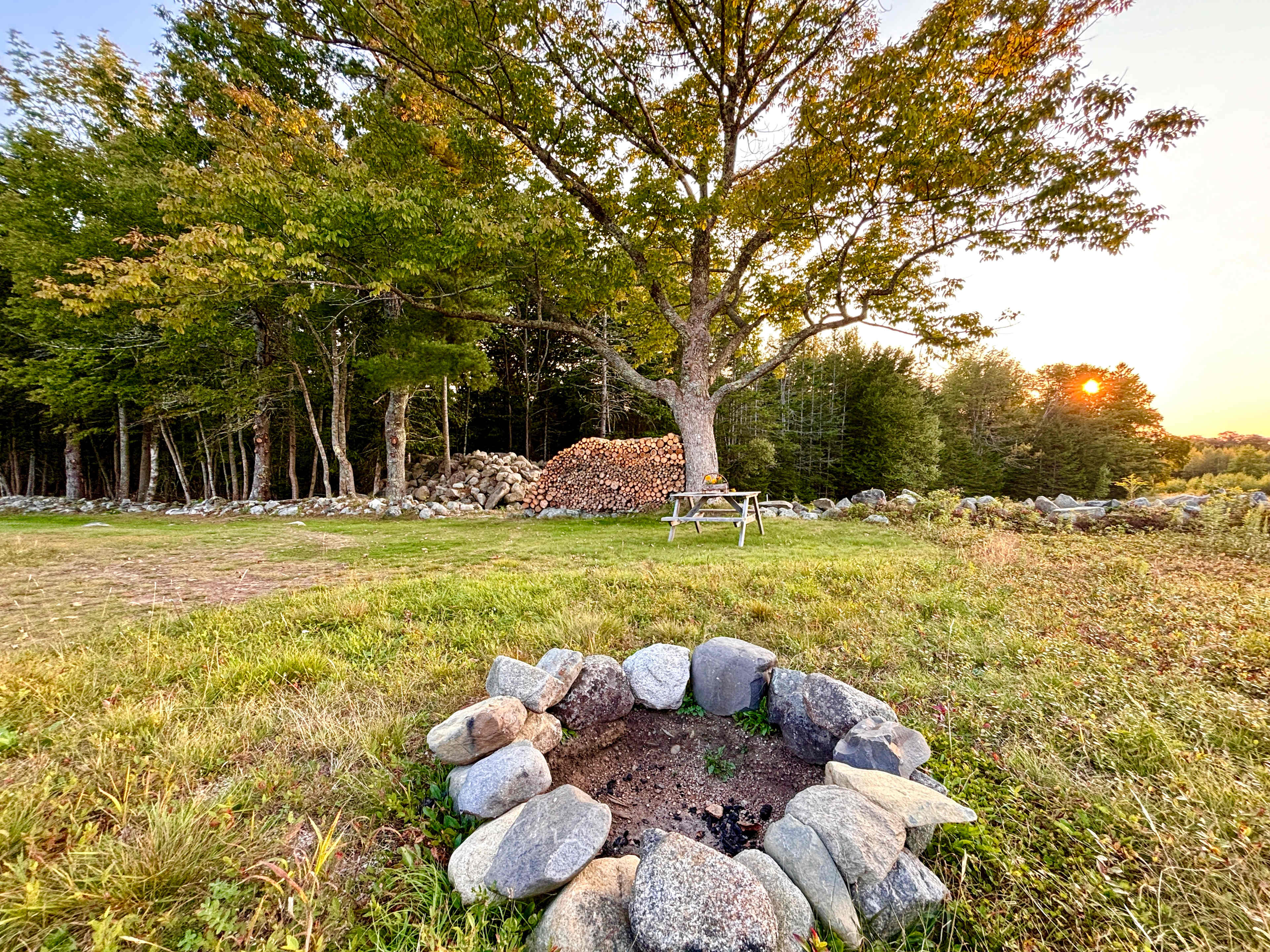 Picture of the site