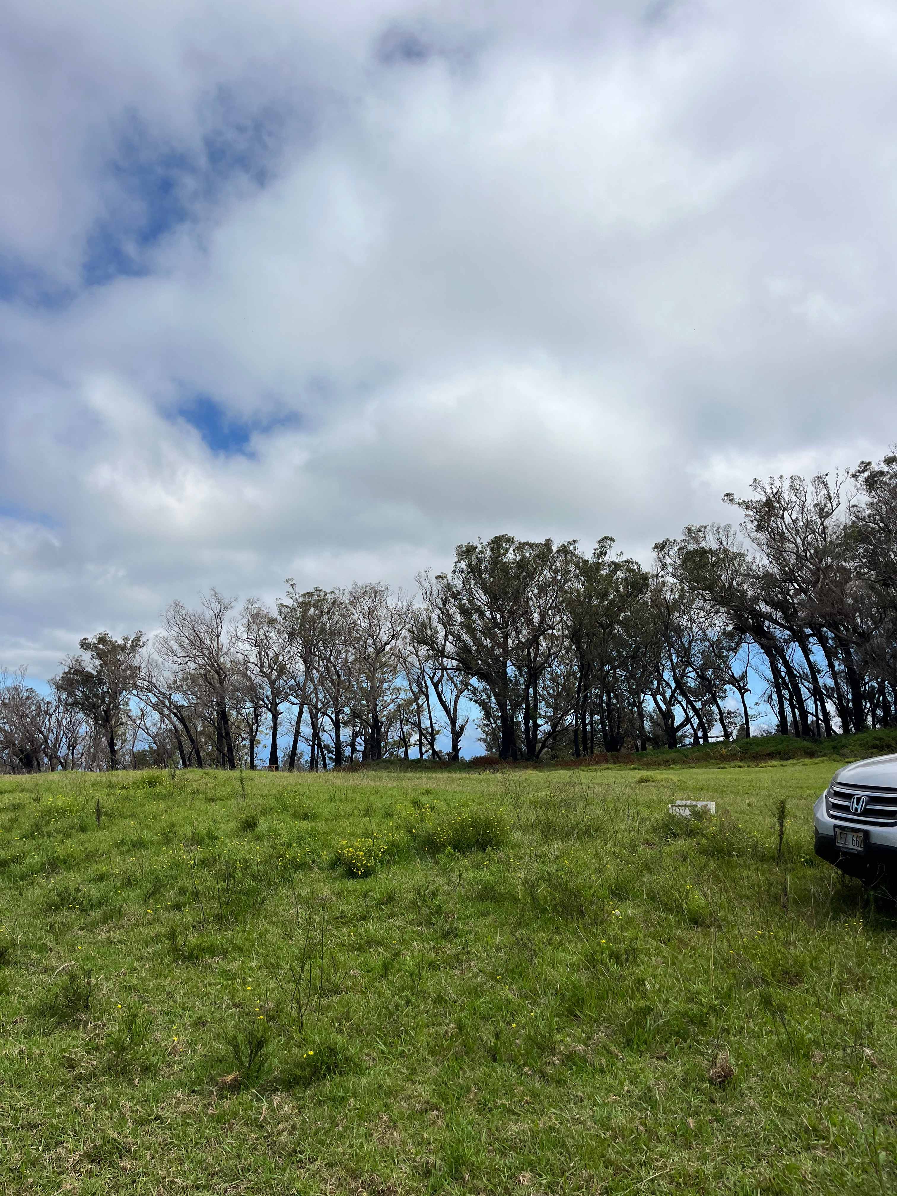 Secluded Upcountry Maui Camping
