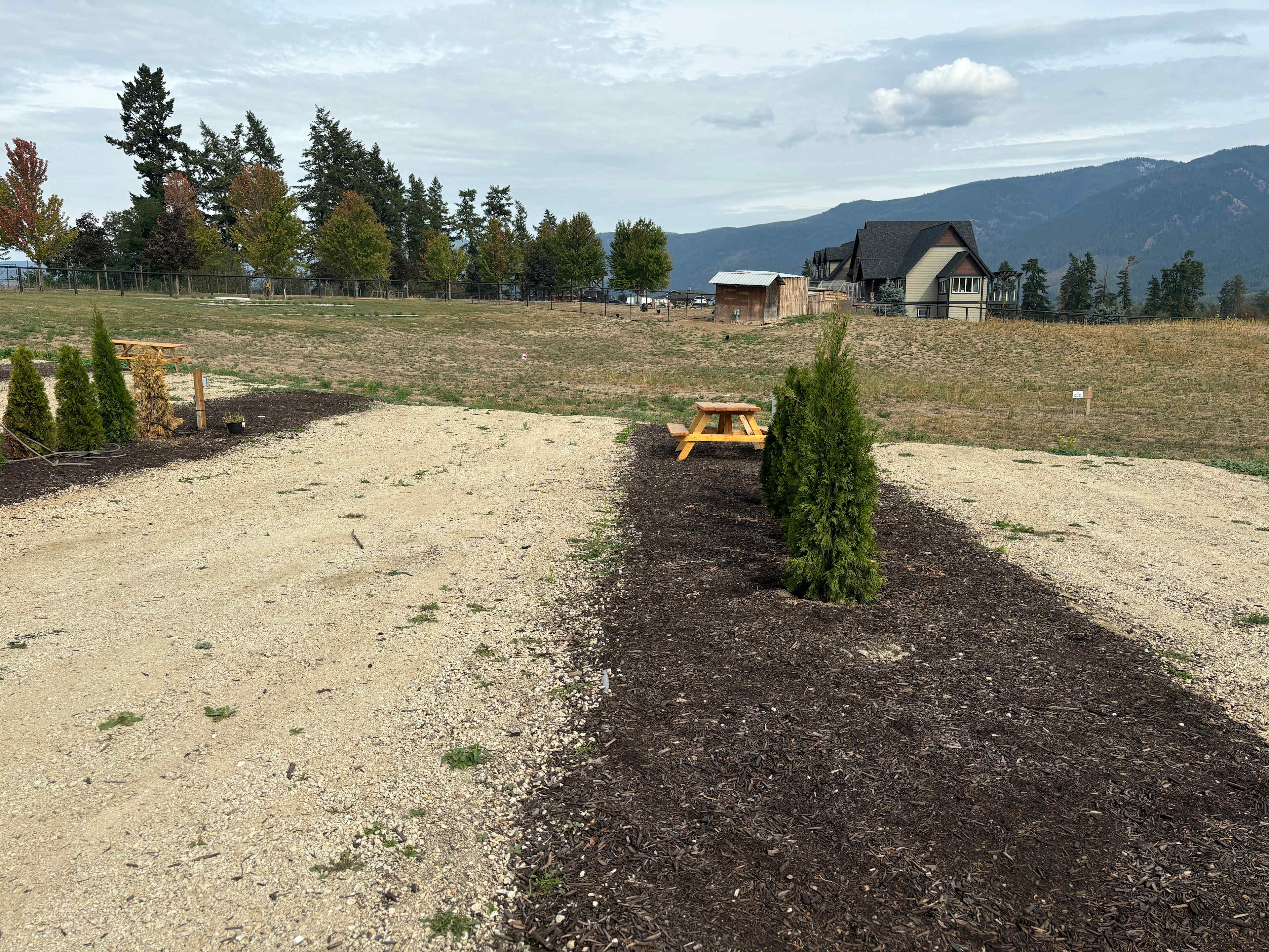 Picture of the site
