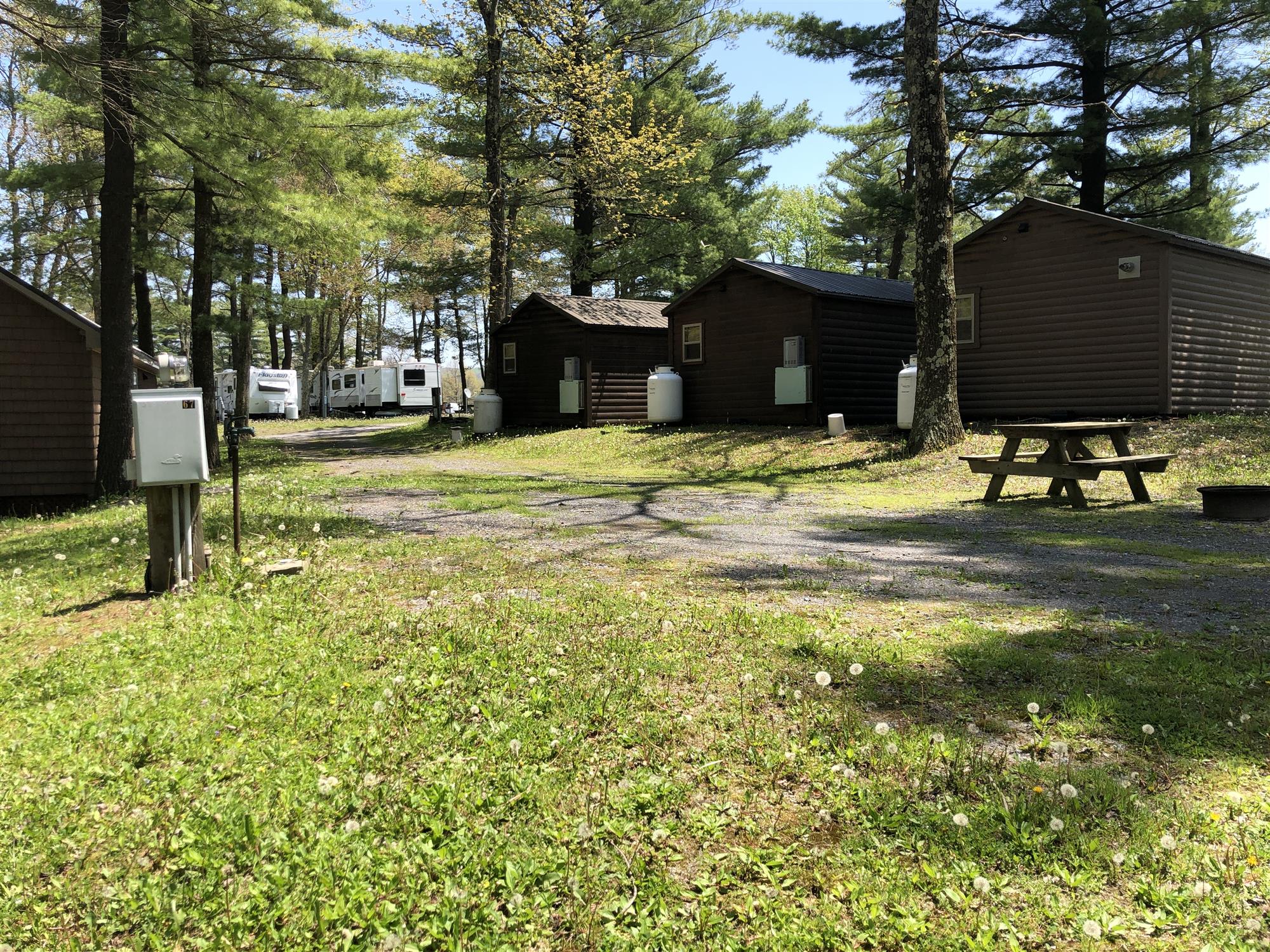 Picture of the site
