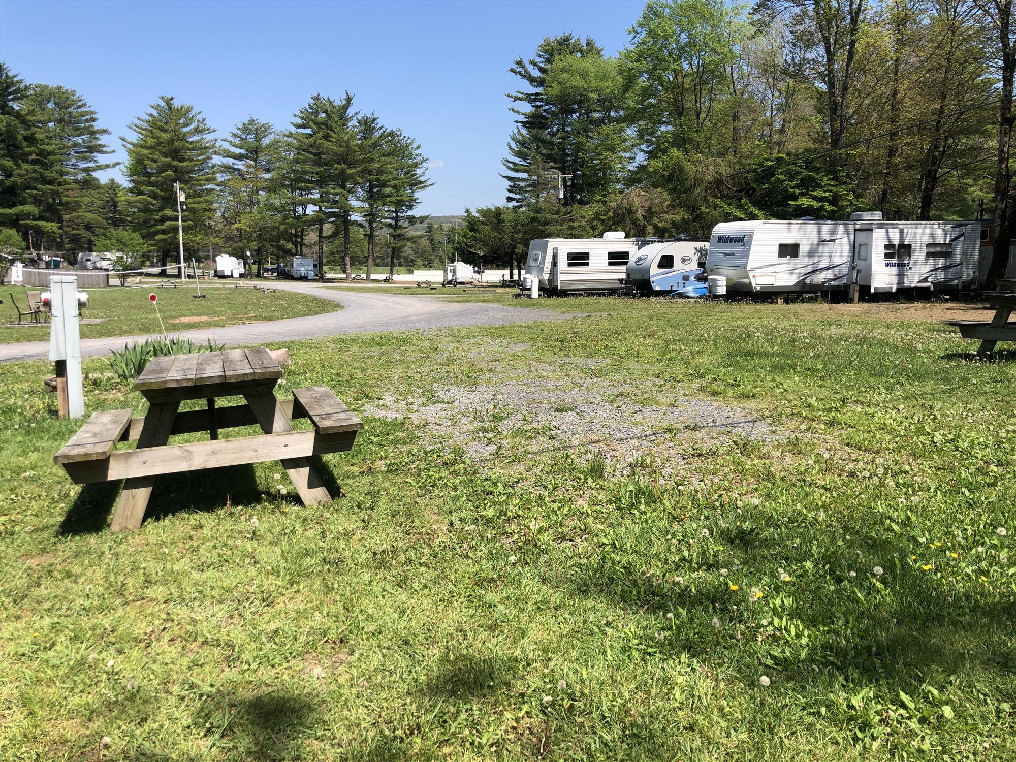 Picture of the site