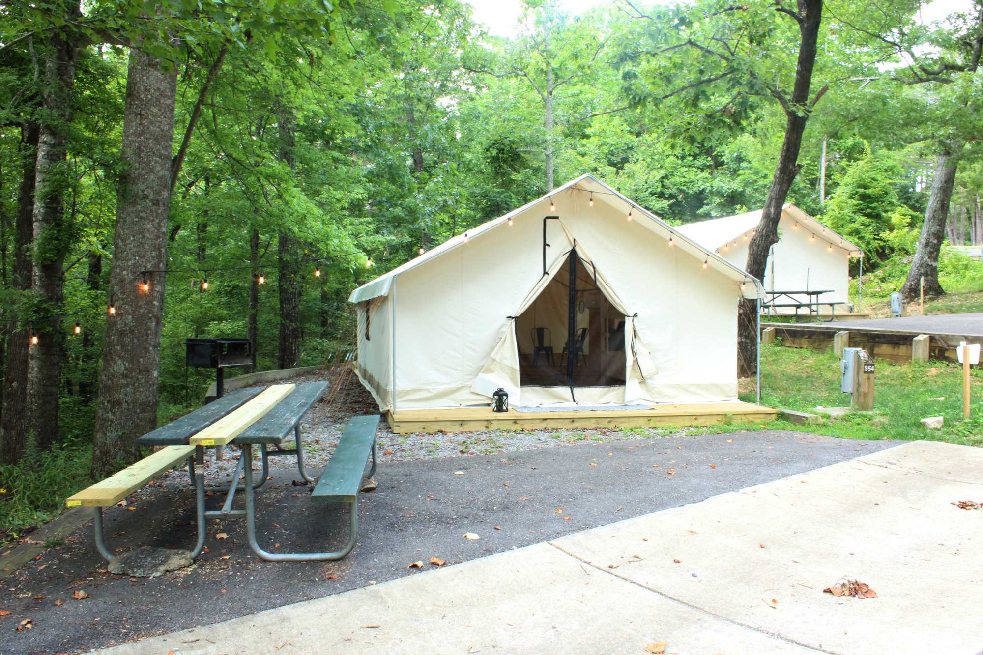Picture of the site