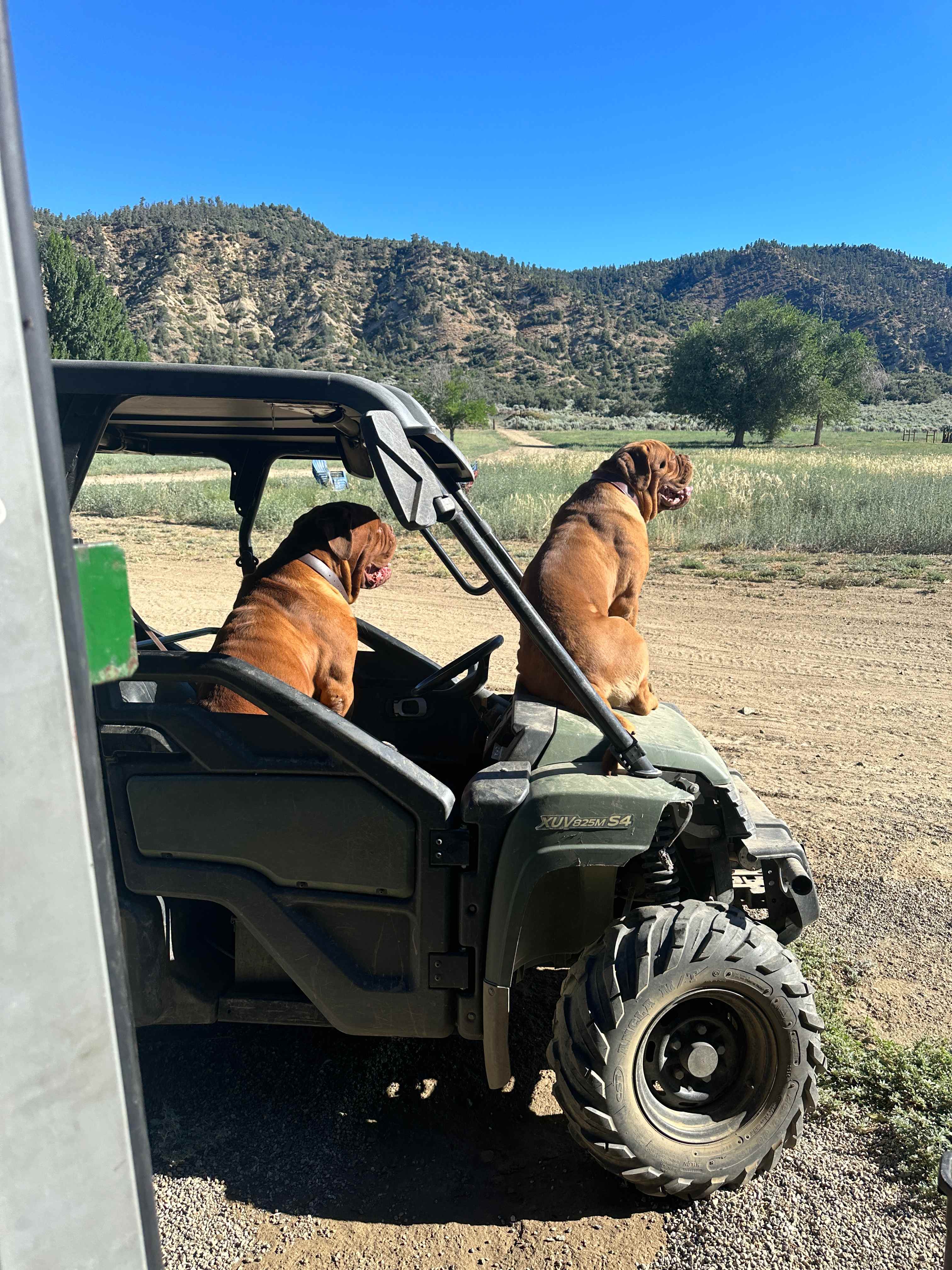 North Fork Ranch (Horses Welcome)