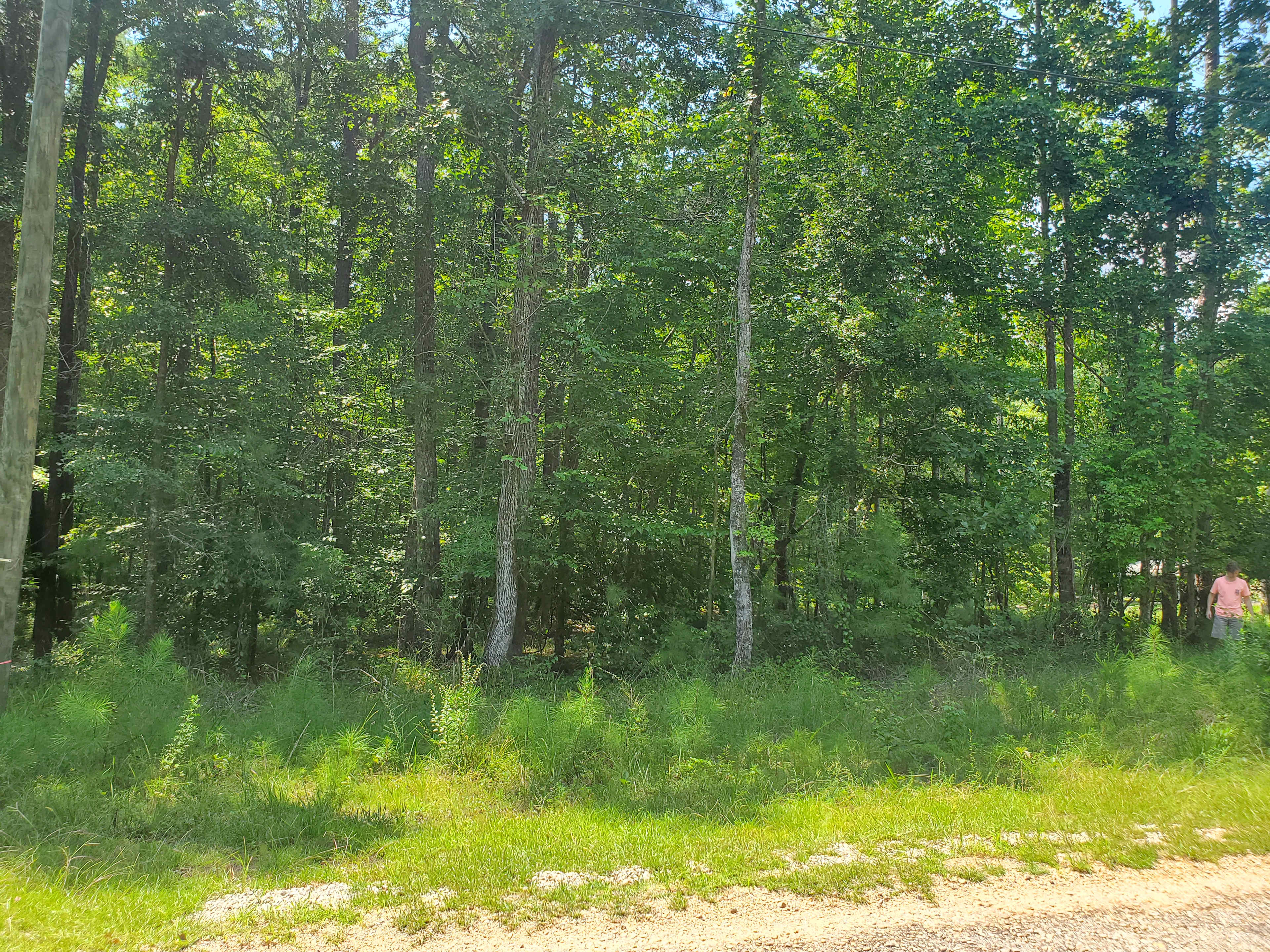 Auburn, Lake Martin, Tent or RV 🦅