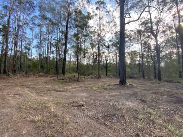 Dreamadua Forest Camp