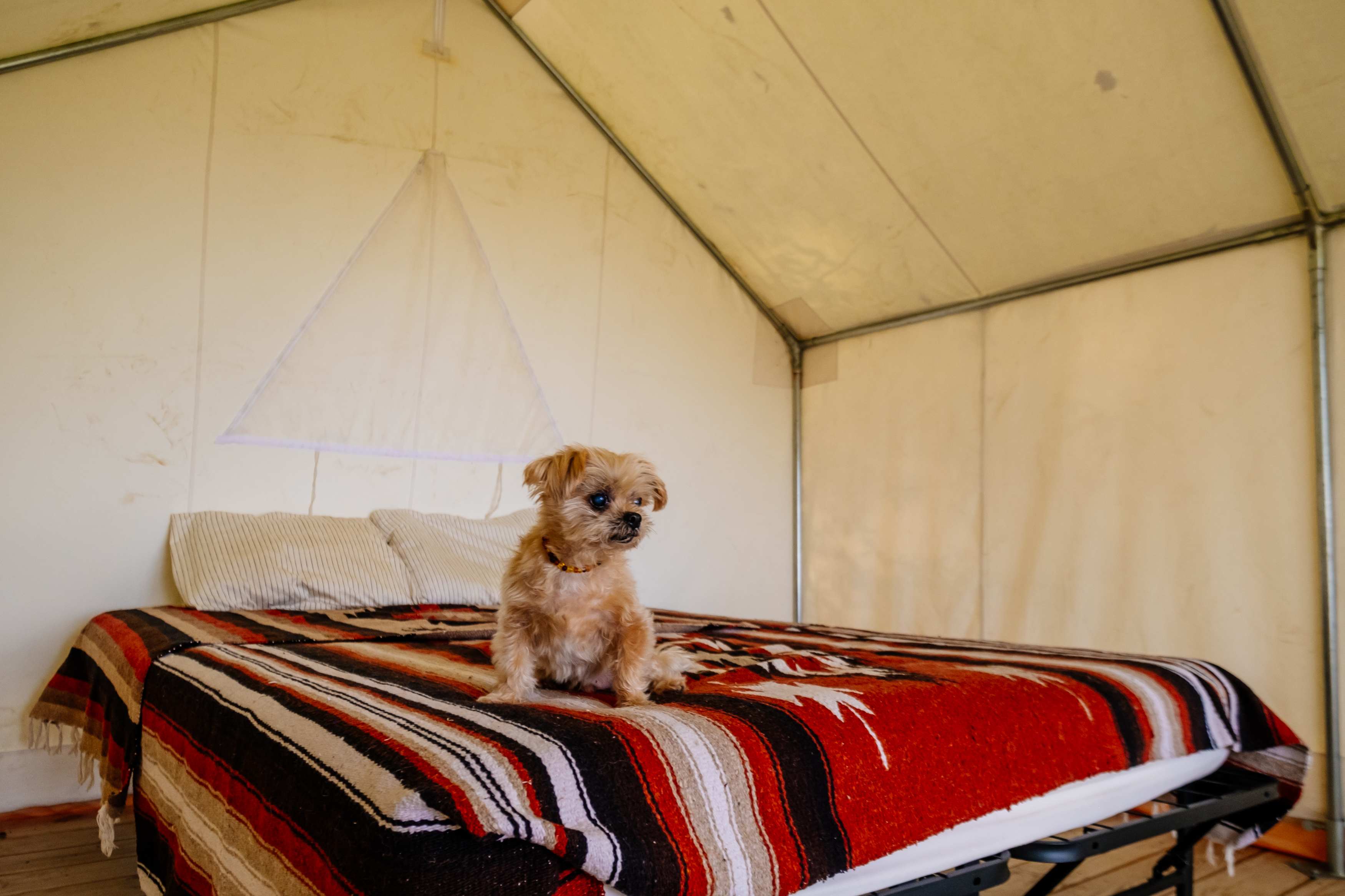 We love a cozy bed.
