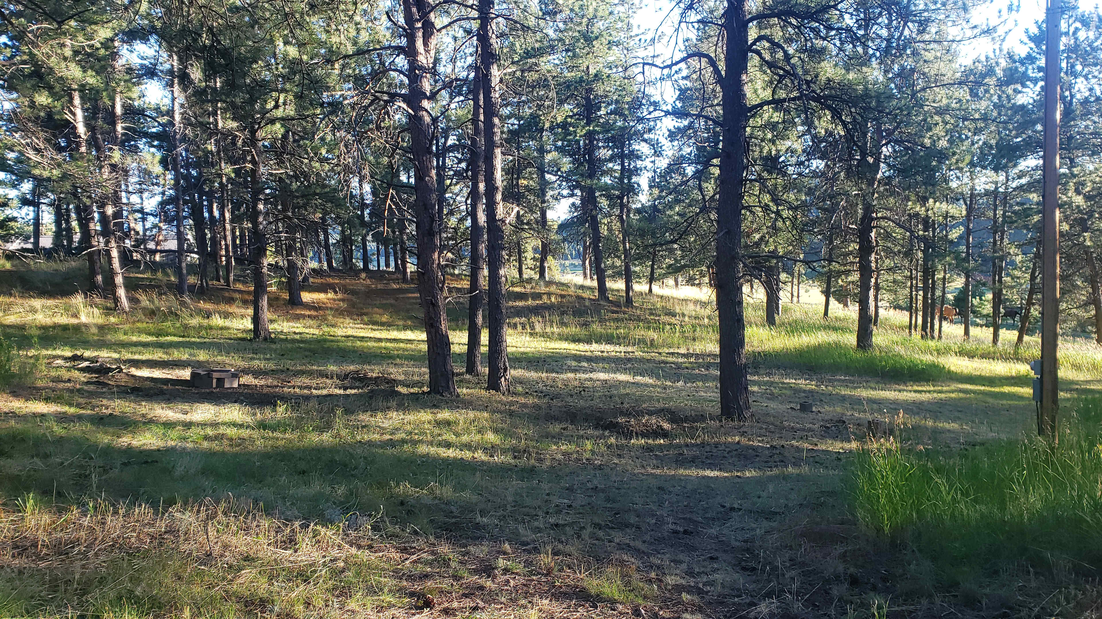 Dog friendly Peak Forest Ranch
