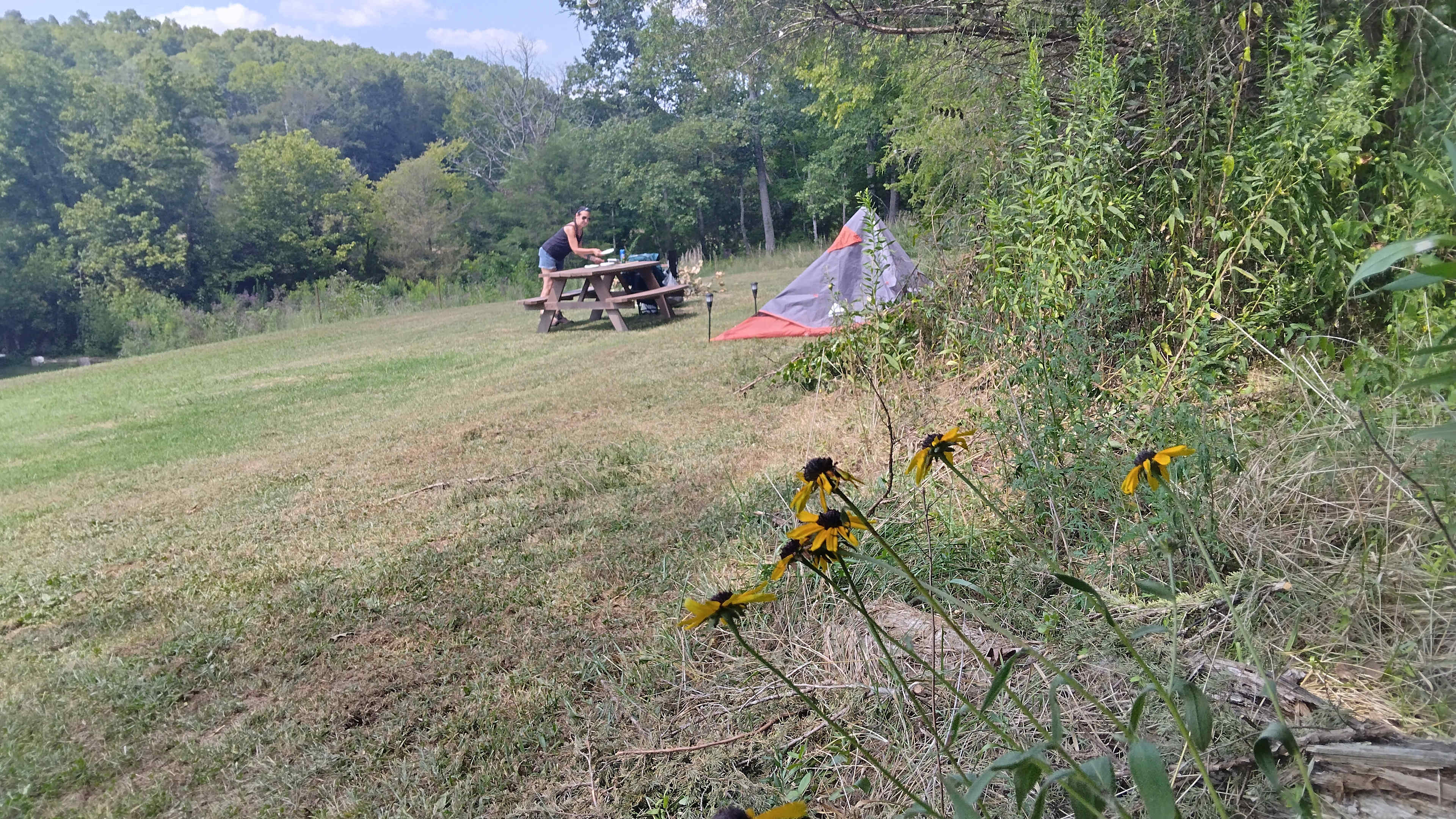 Picture of the site