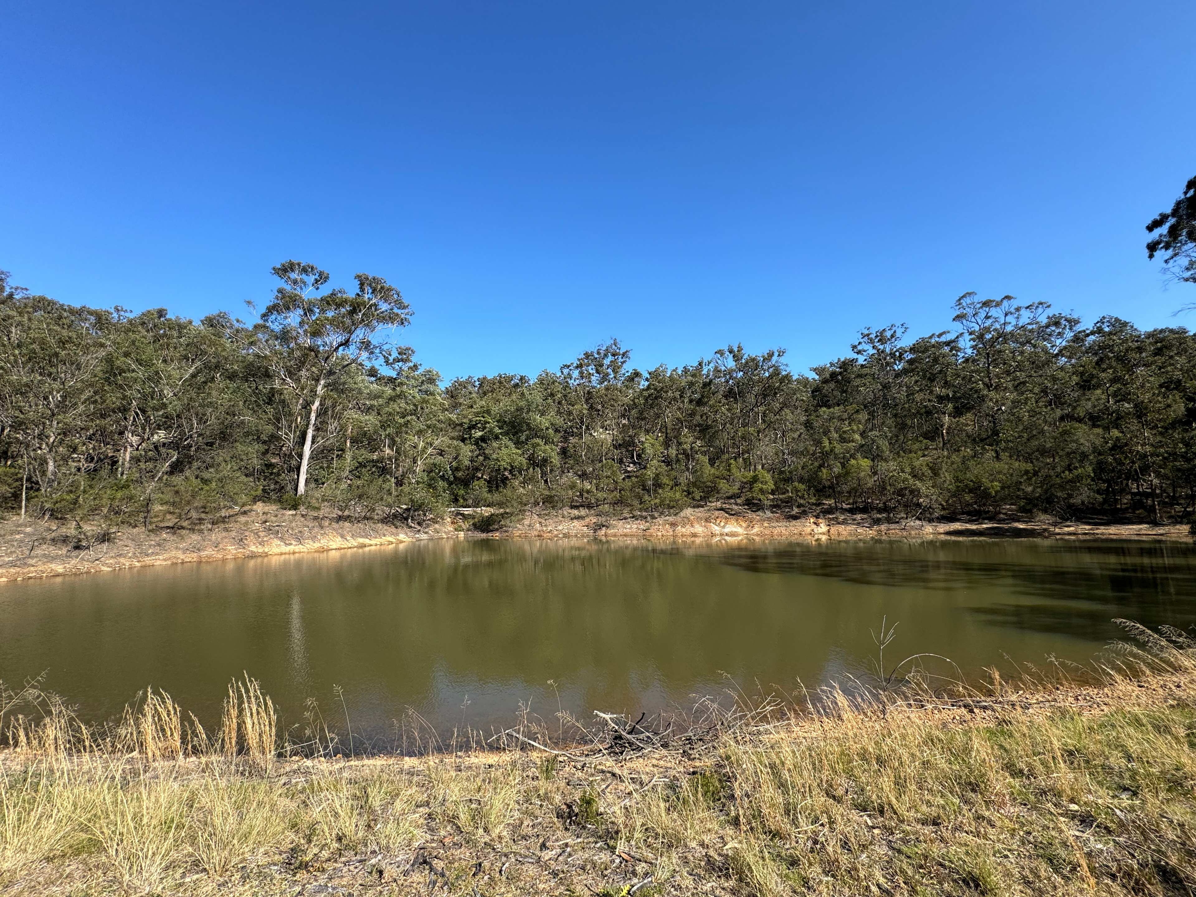 Bullridge Farm-Secluded & Uncrowded
