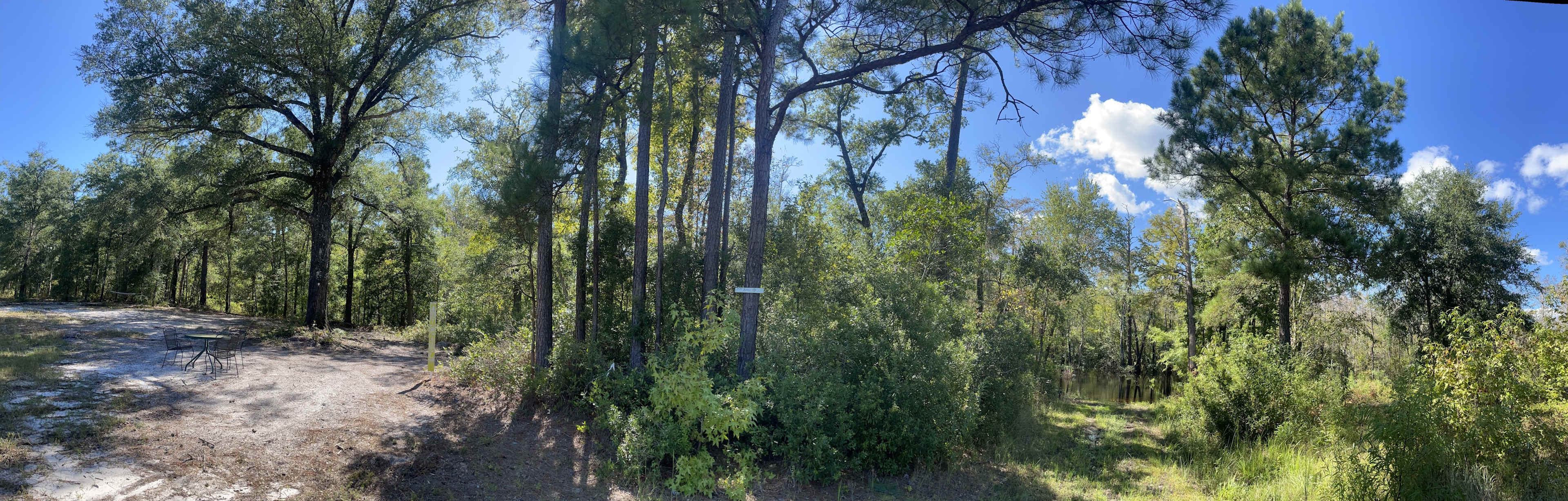 Picture of the site