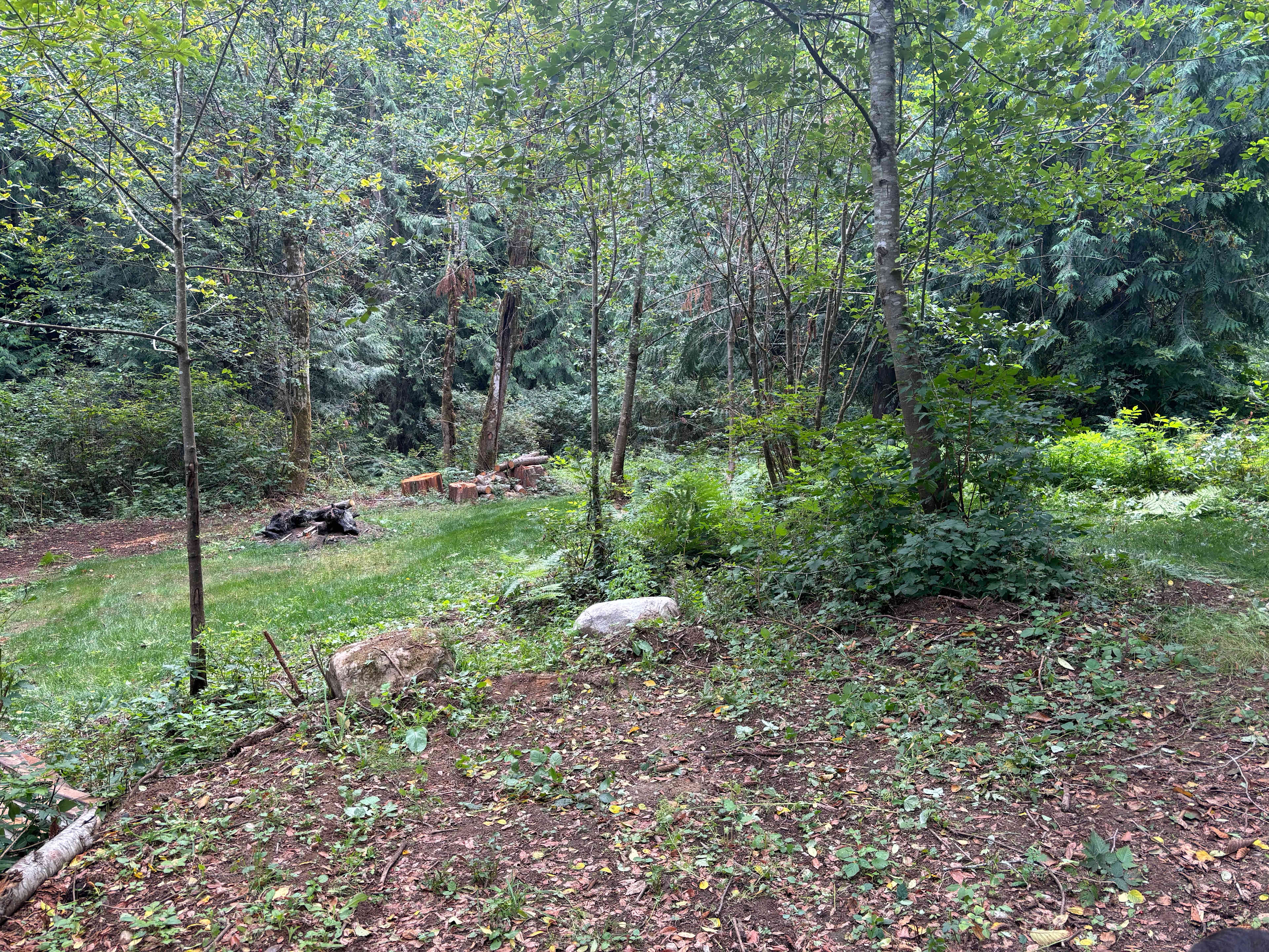White Fir Camp