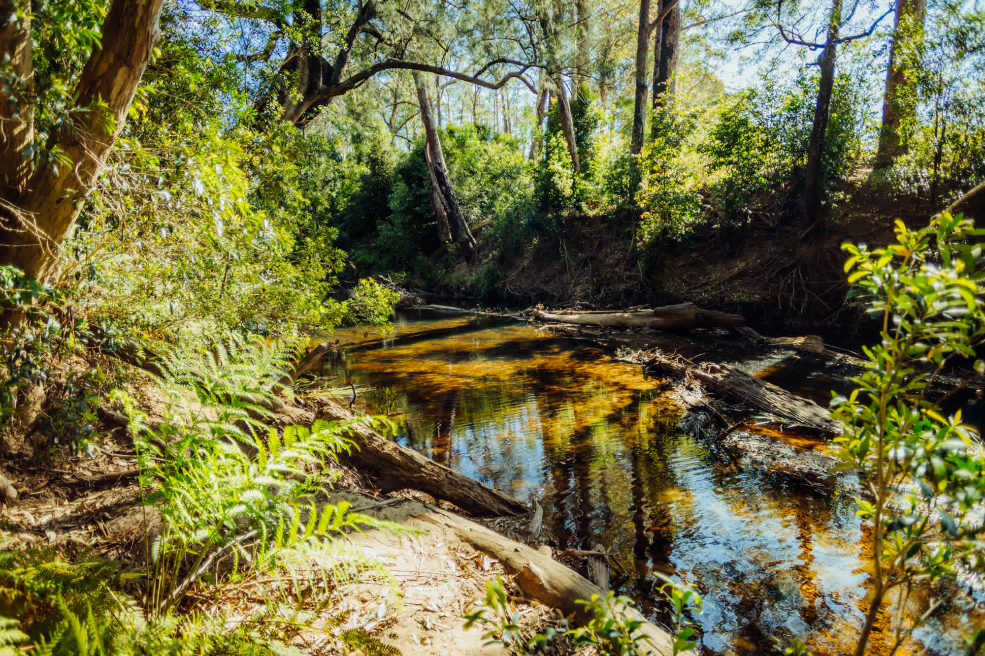 creek is just meters away