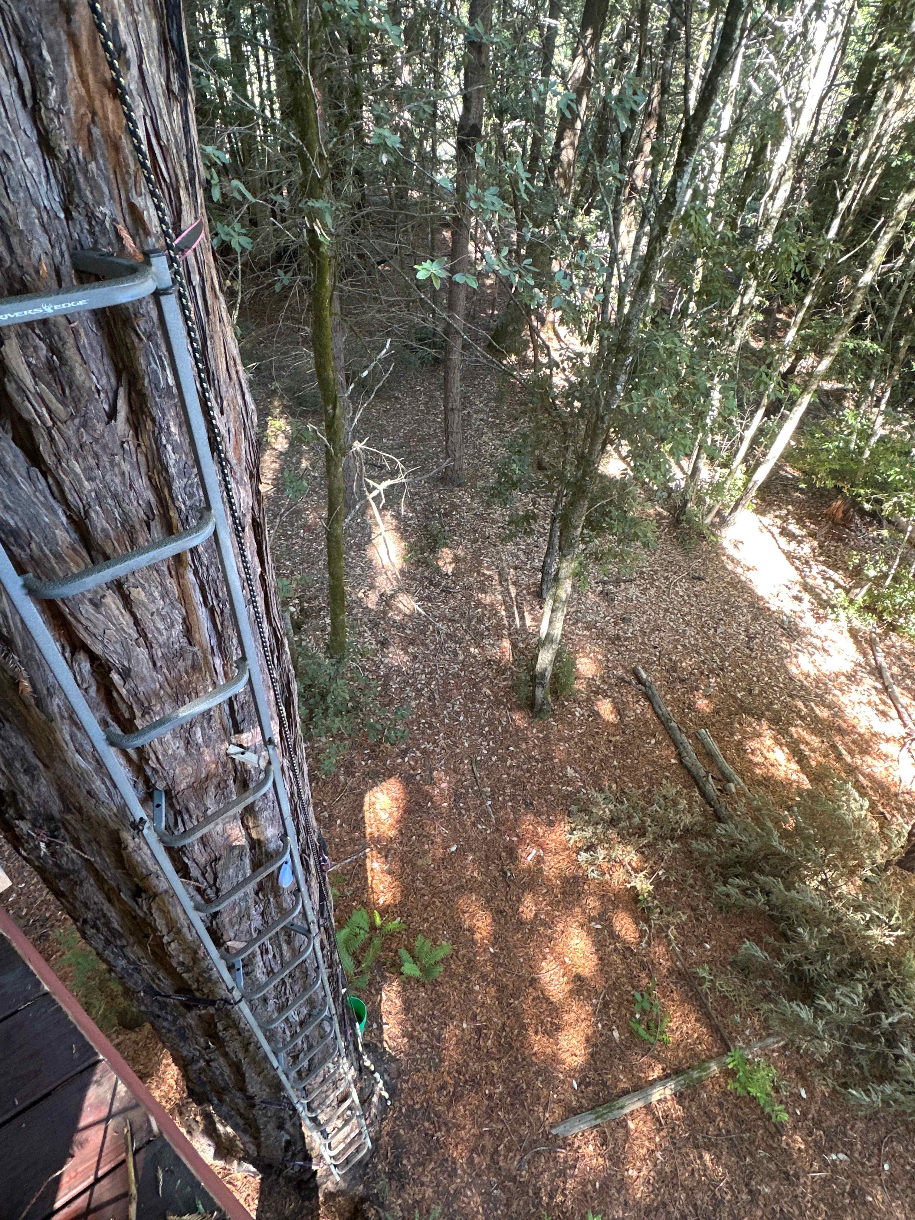 Moon Bear Lodge